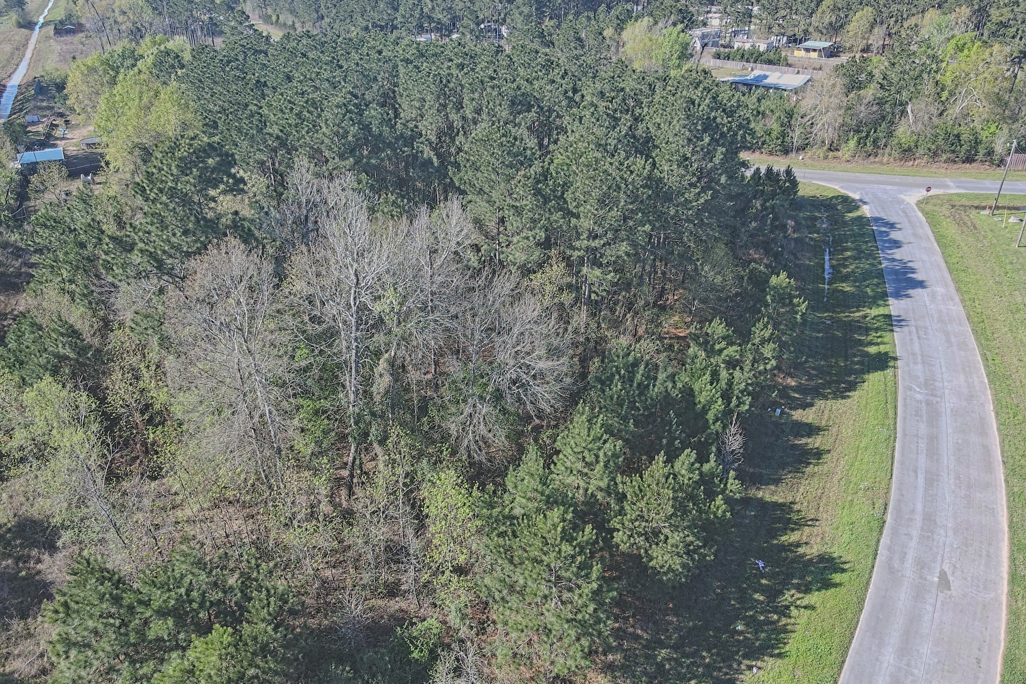 Tbd County Road 5029 Property Photo 3