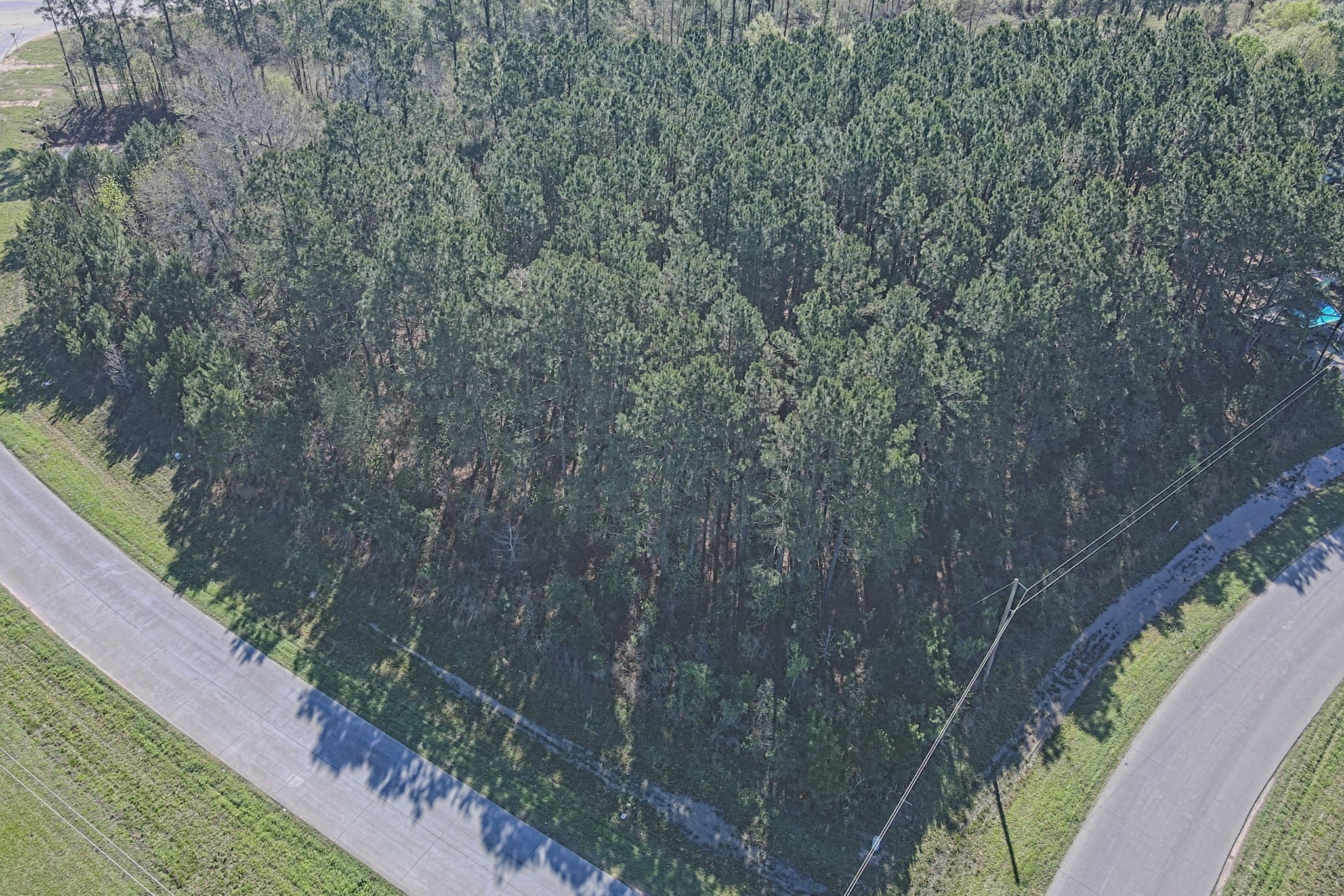 Tbd County Road 5029 Property Photo 4