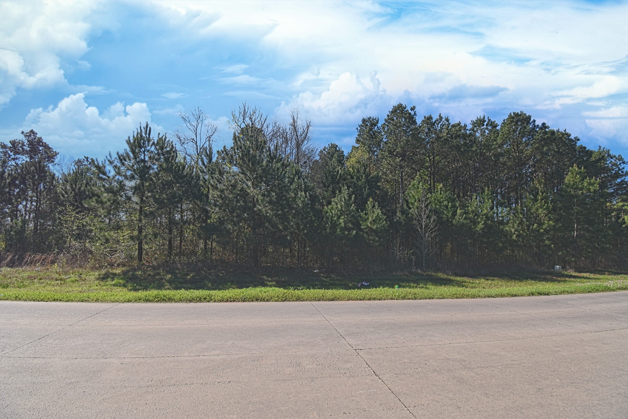 Tbd County Road 5029 Property Photo 18