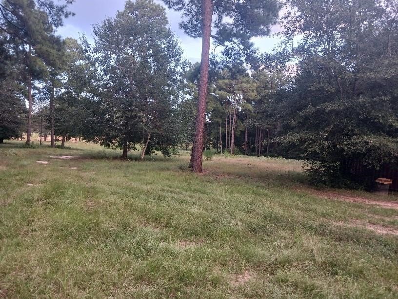 24140 Grand Pines Road Property Photo 1