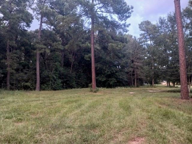 24140 Grand Pines Road Property Photo 2