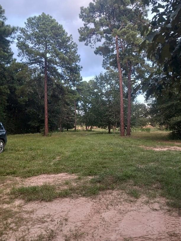 24140 Grand Pines Road Property Photo 3