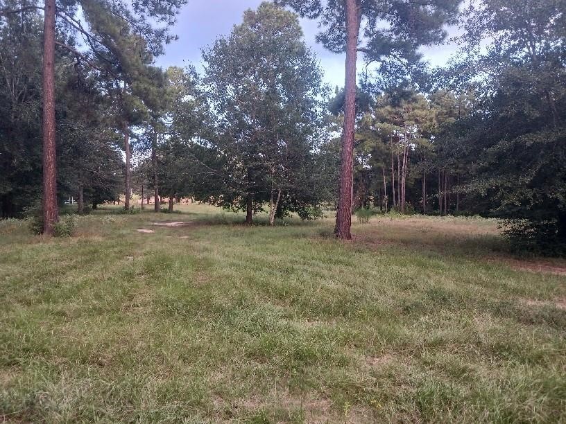 24140 Grand Pines Road Property Photo 6