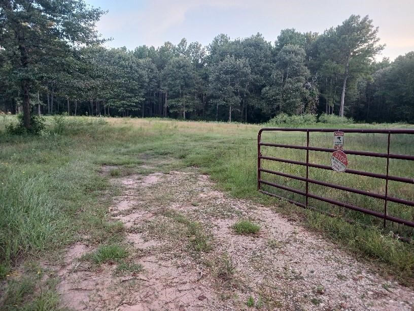 24140 Grand Pines Road Property Photo 7