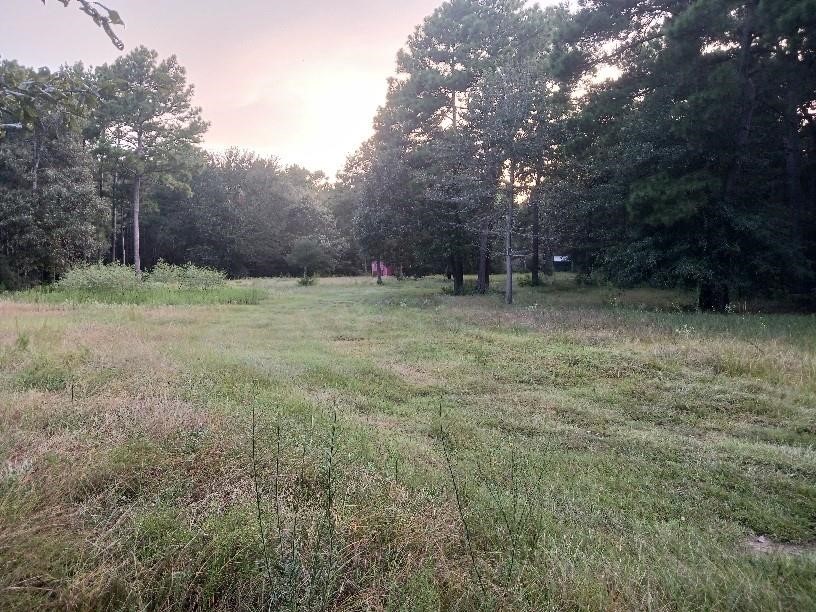 24140 Grand Pines Road Property Photo 8
