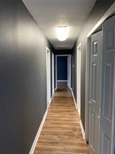 2619 Areba Street Property Photo 8