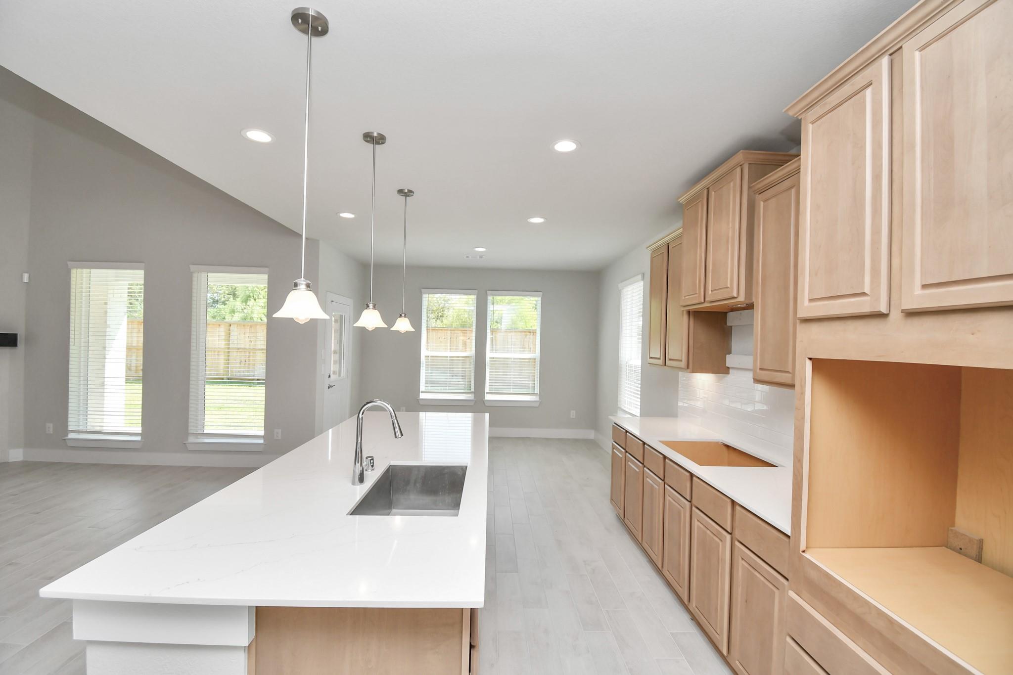 2113 Corn Thistle Way Property Photo 11
