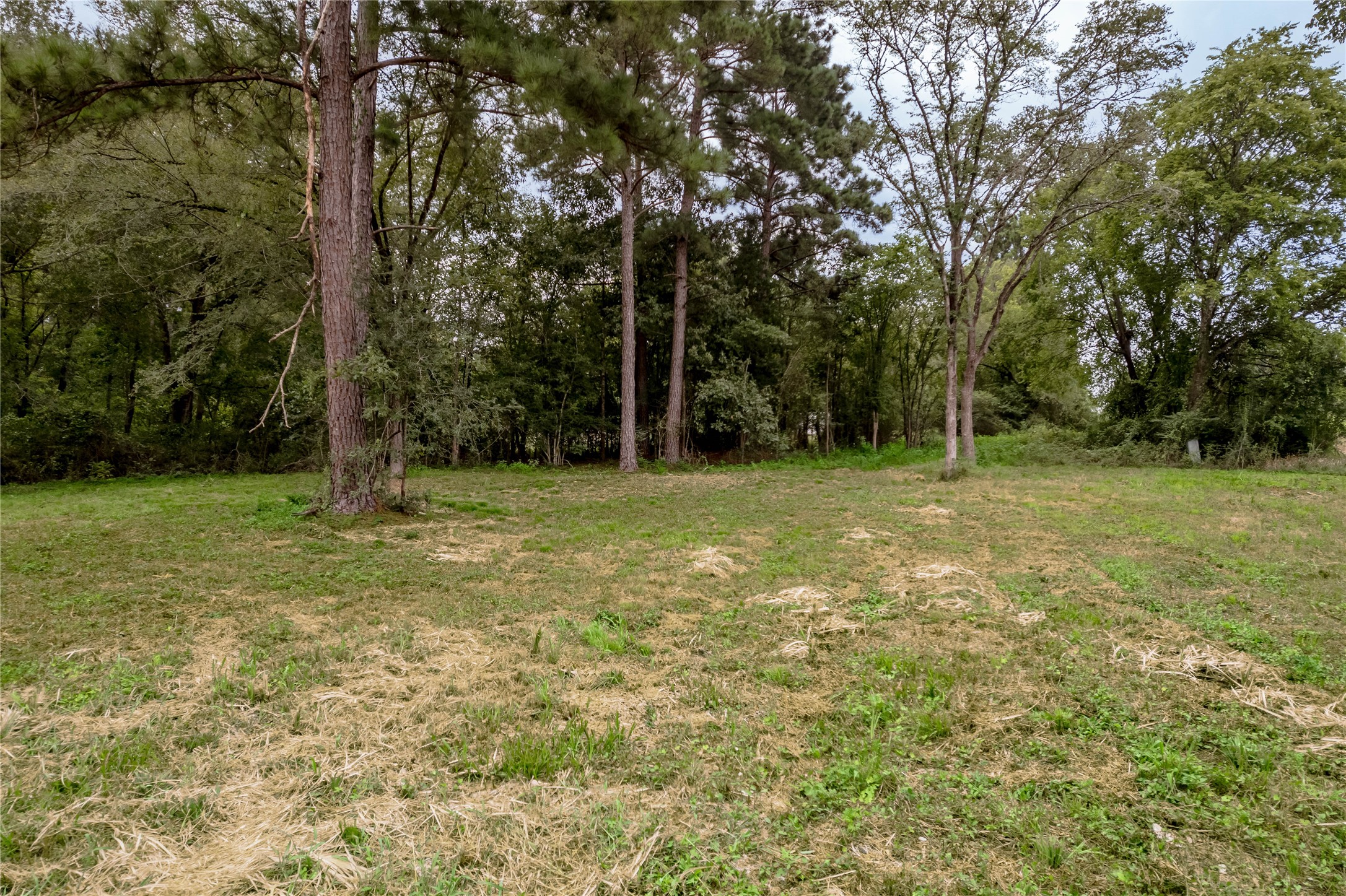 Tbd Johnson Street Property Photo 21