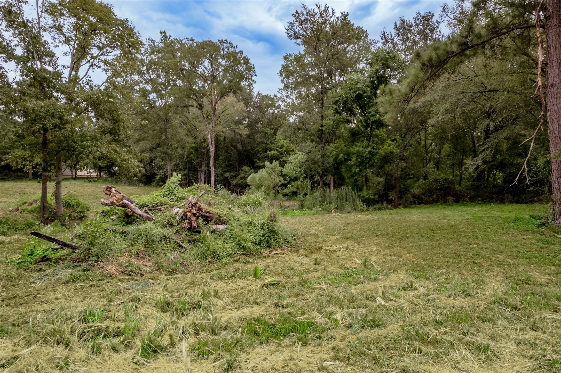 Tbd Johnson Street Property Photo 22