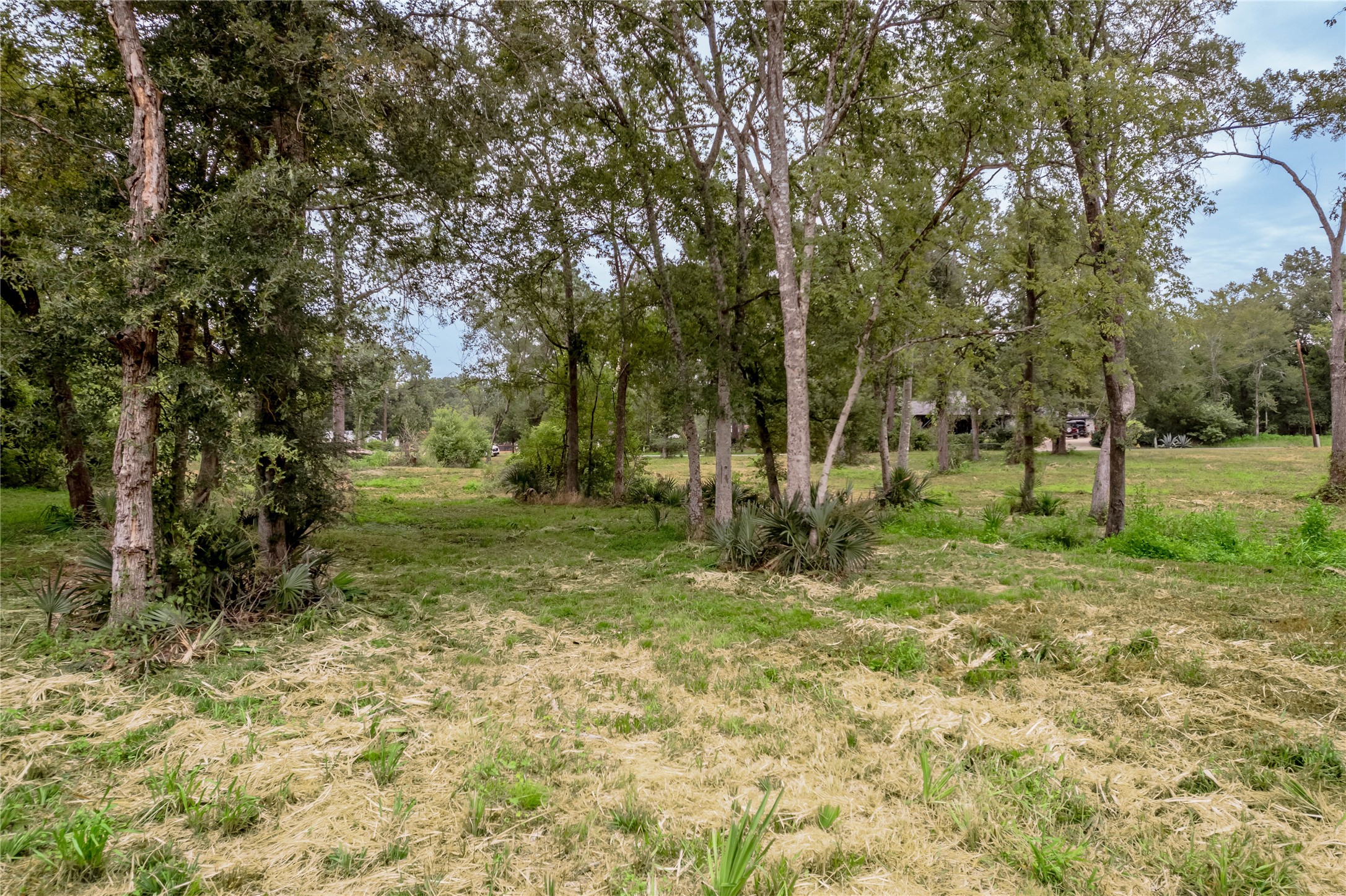Tbd Johnson Street Property Photo 23