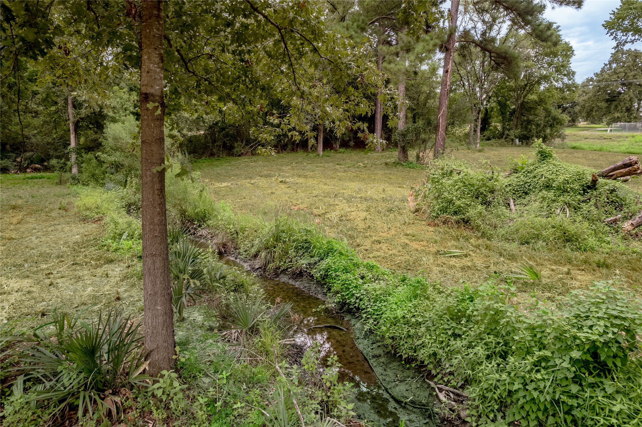 Tbd Johnson Street Property Photo 24