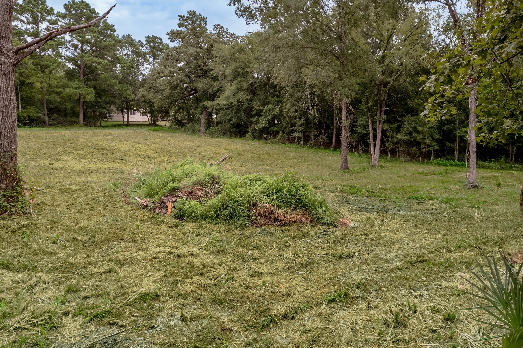 Tbd Johnson Street Property Photo 25