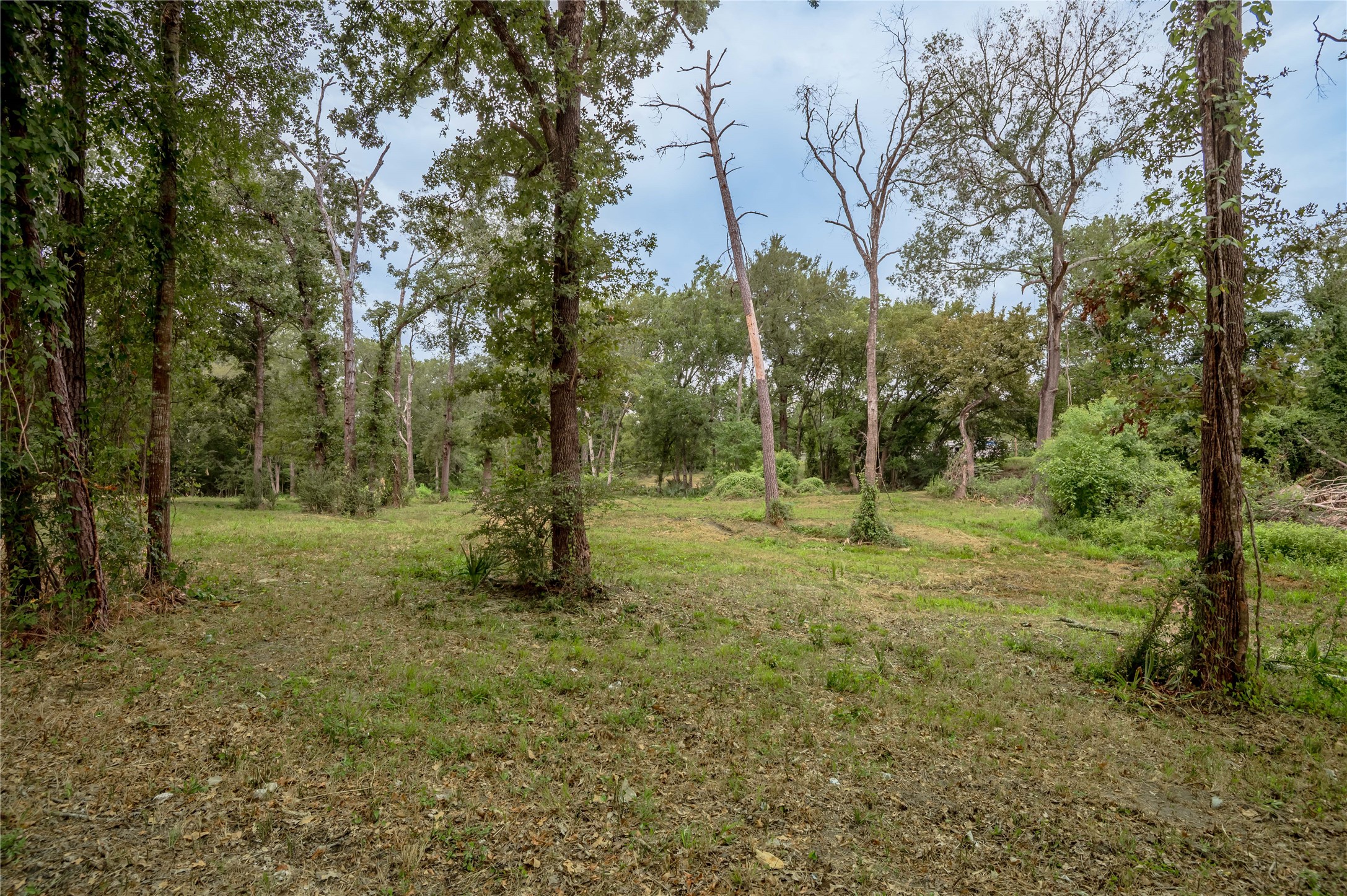 Tbd Johnson Street Property Photo 31