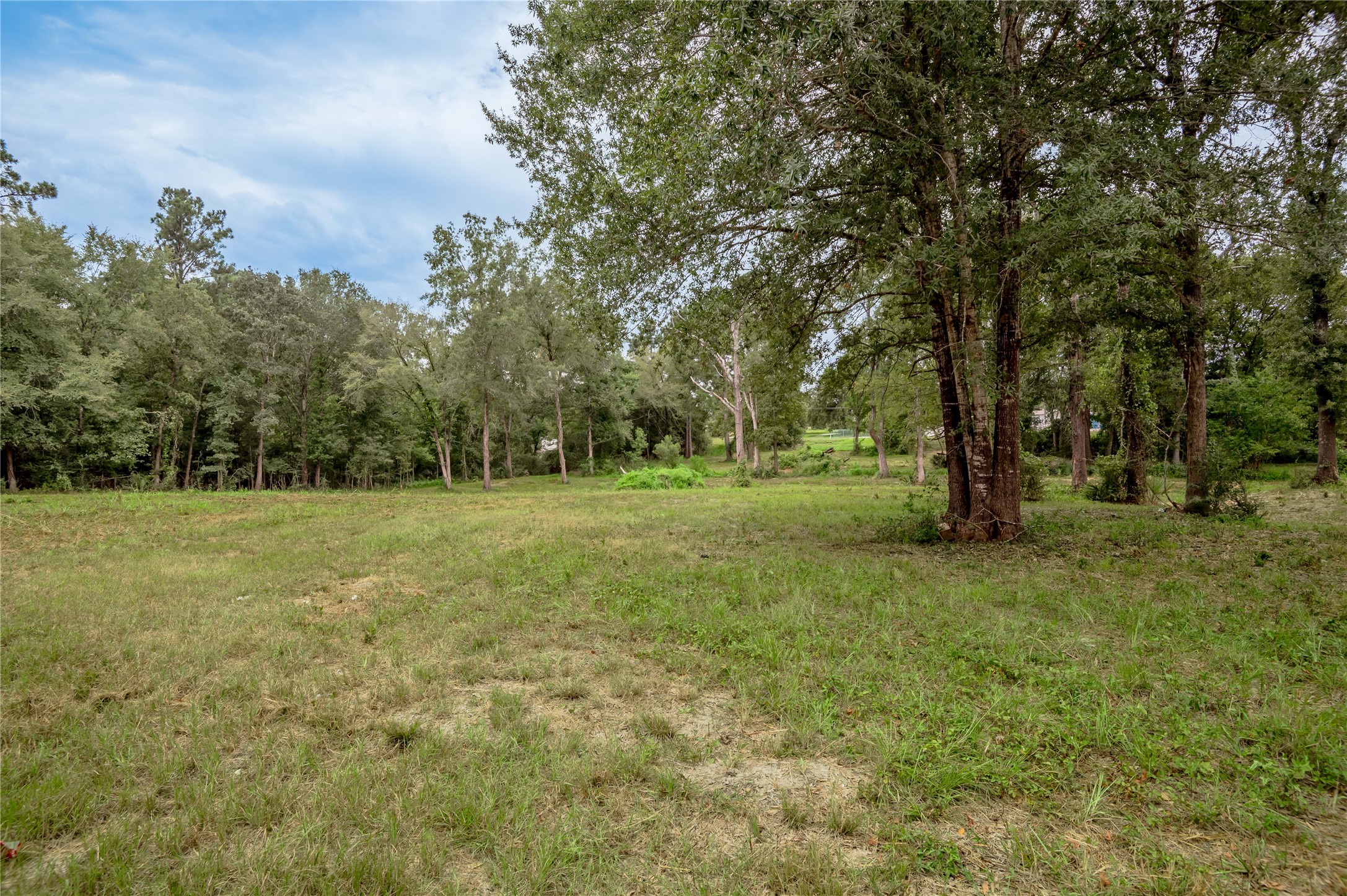 Tbd Johnson Street Property Photo 36
