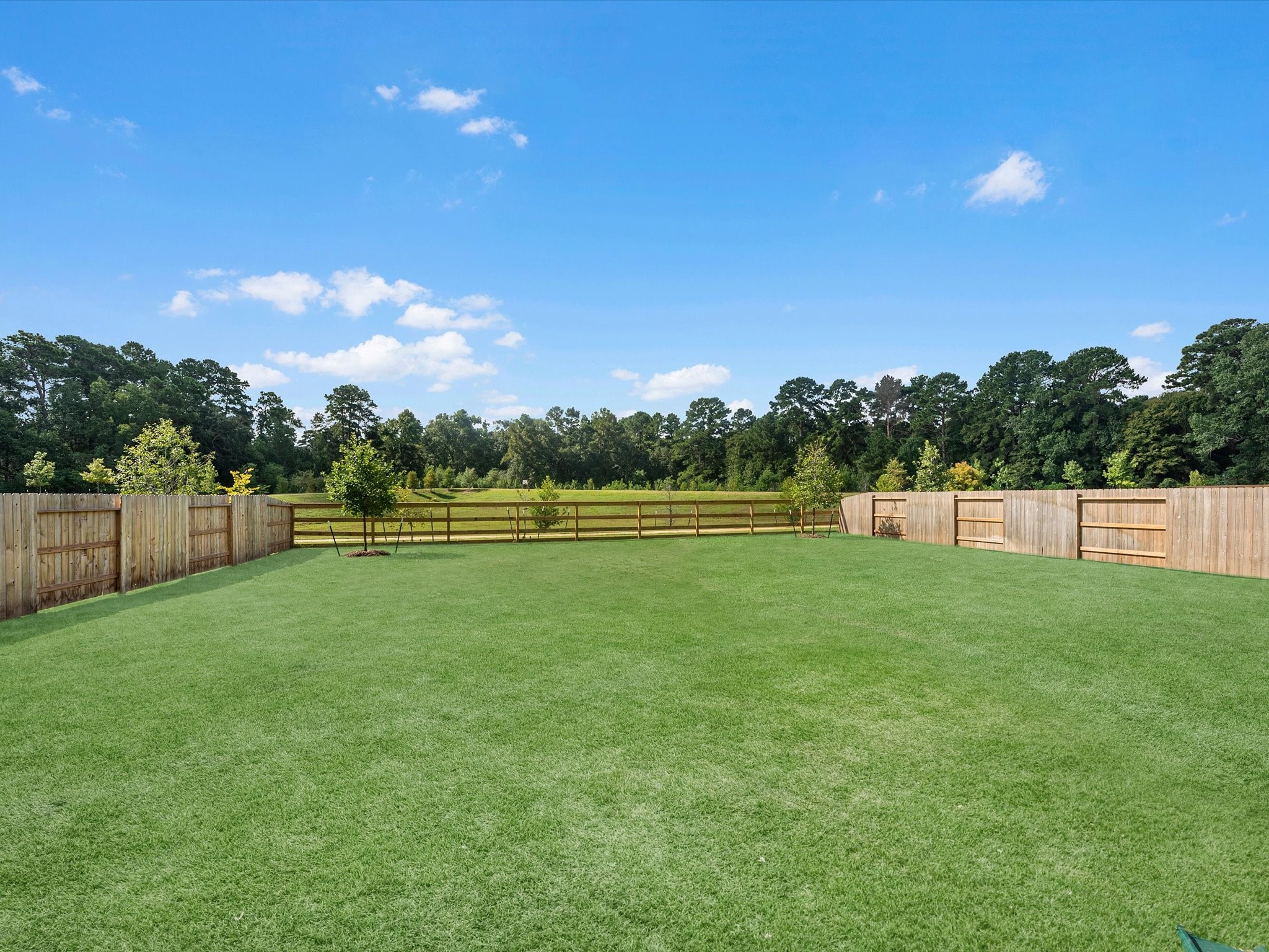 14323 Moonlit Creek Court Property Photo 21