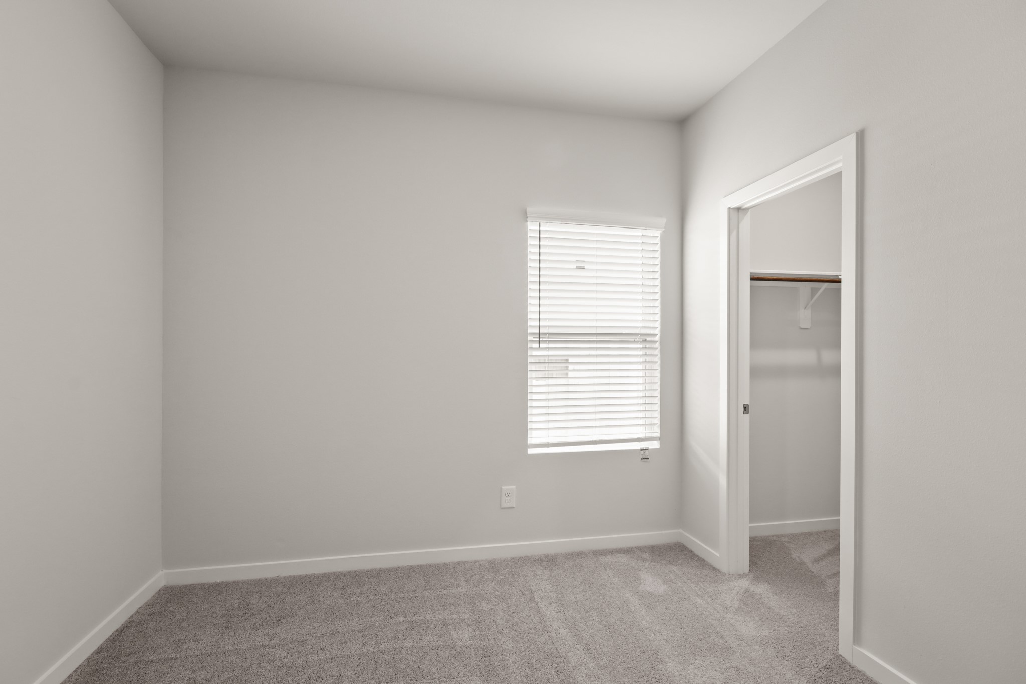 4022 Ancient Honor Drive Property Photo 12