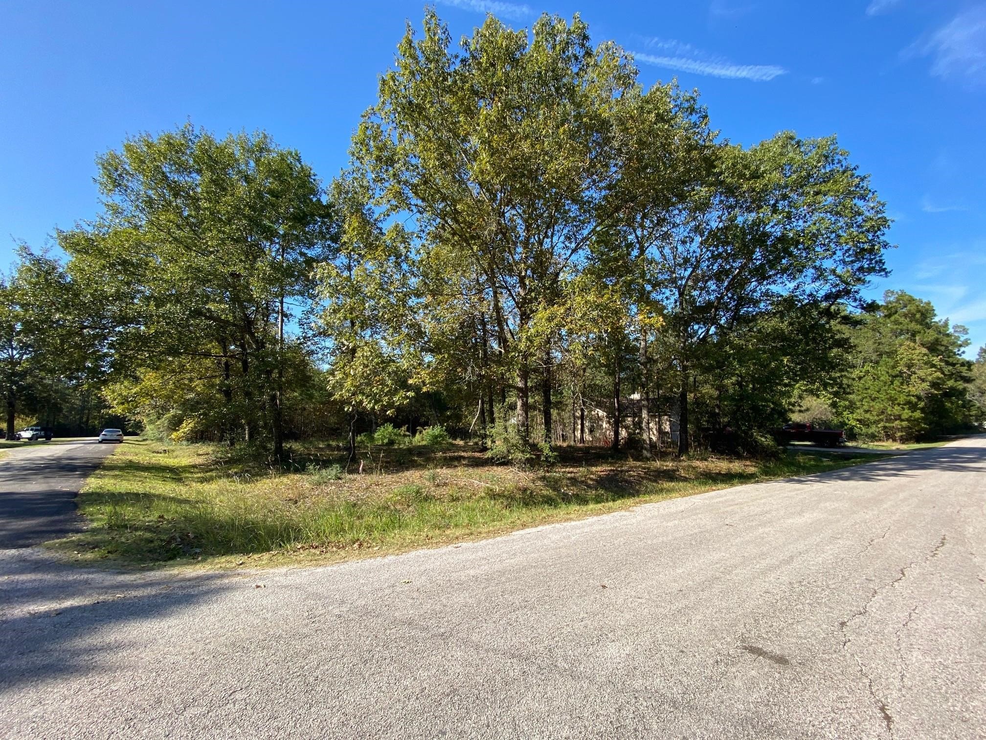 00 Crystal River Property Photo 6