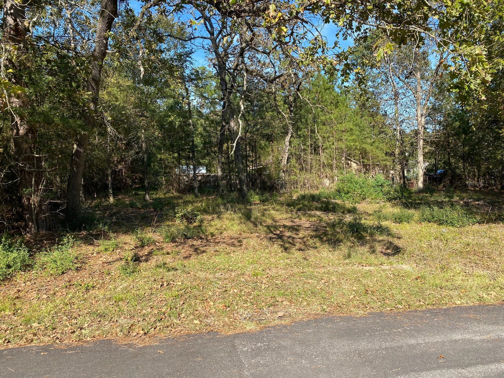 00 Crystal River Property Photo 7