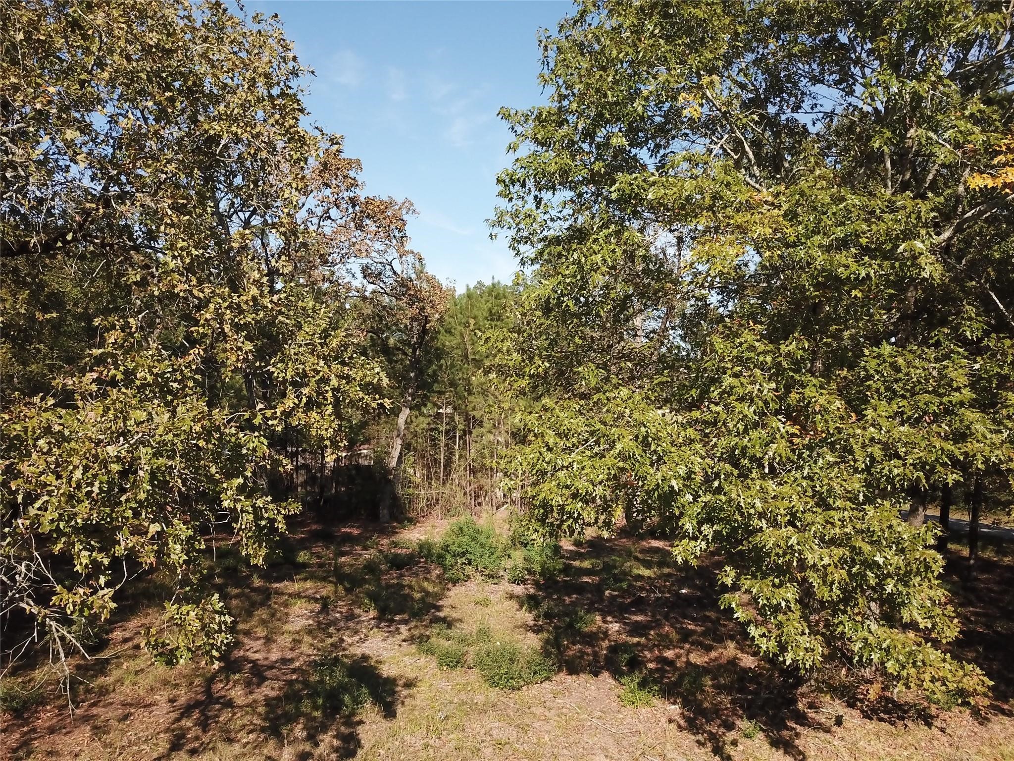 00 Crystal River Property Photo 9