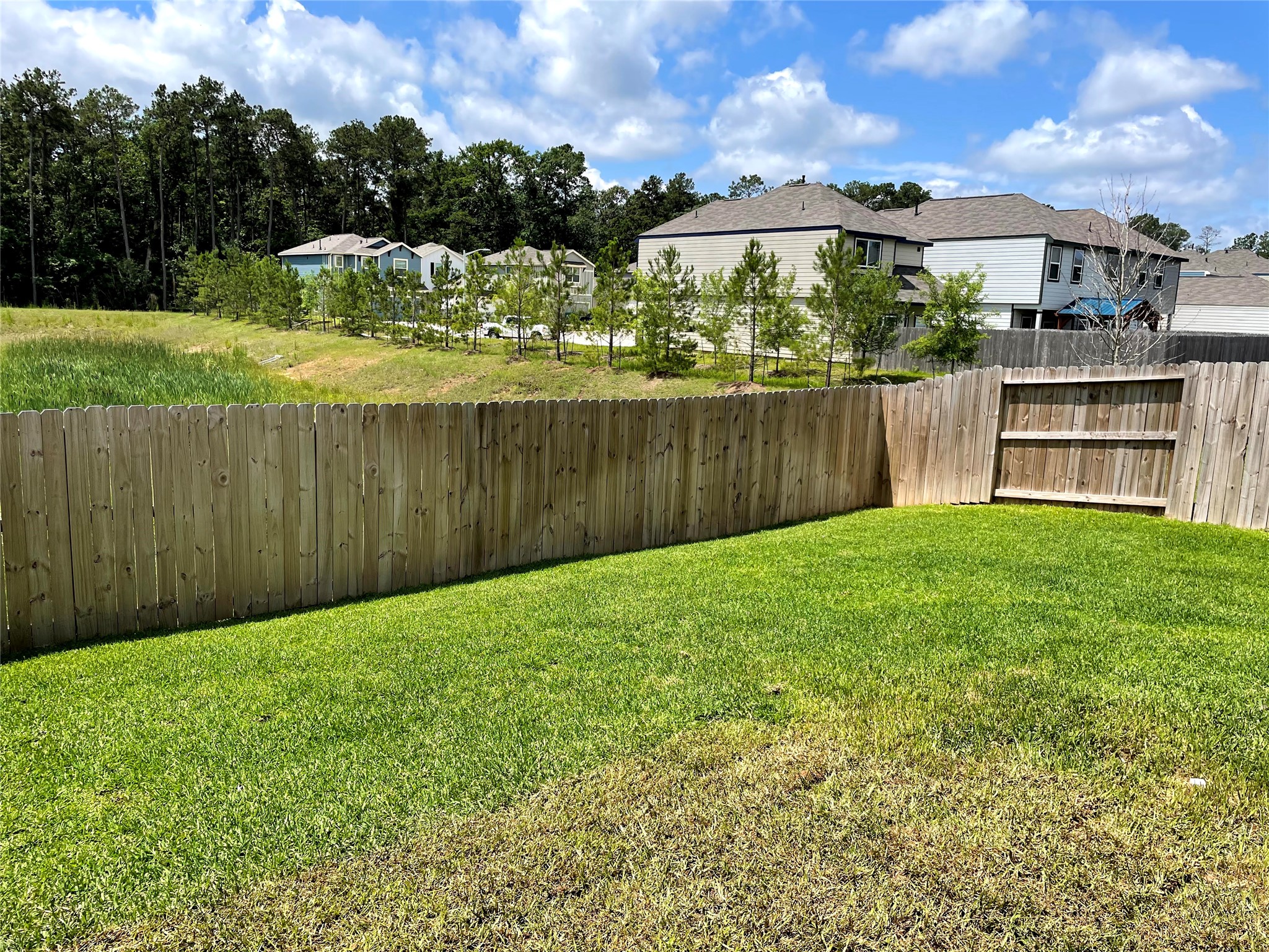 101 Wickersham B Property Photo 15