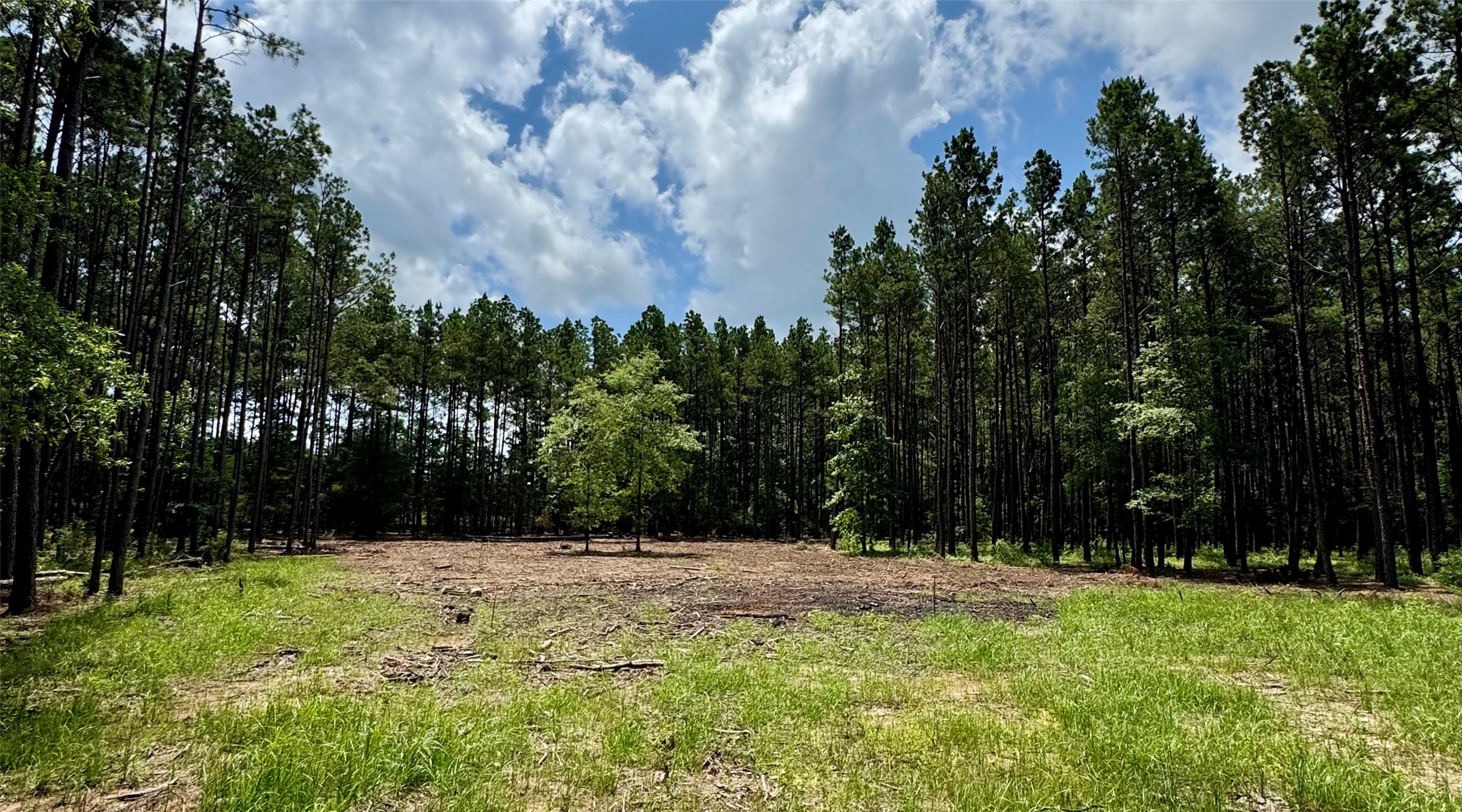 TBD County Road 2626