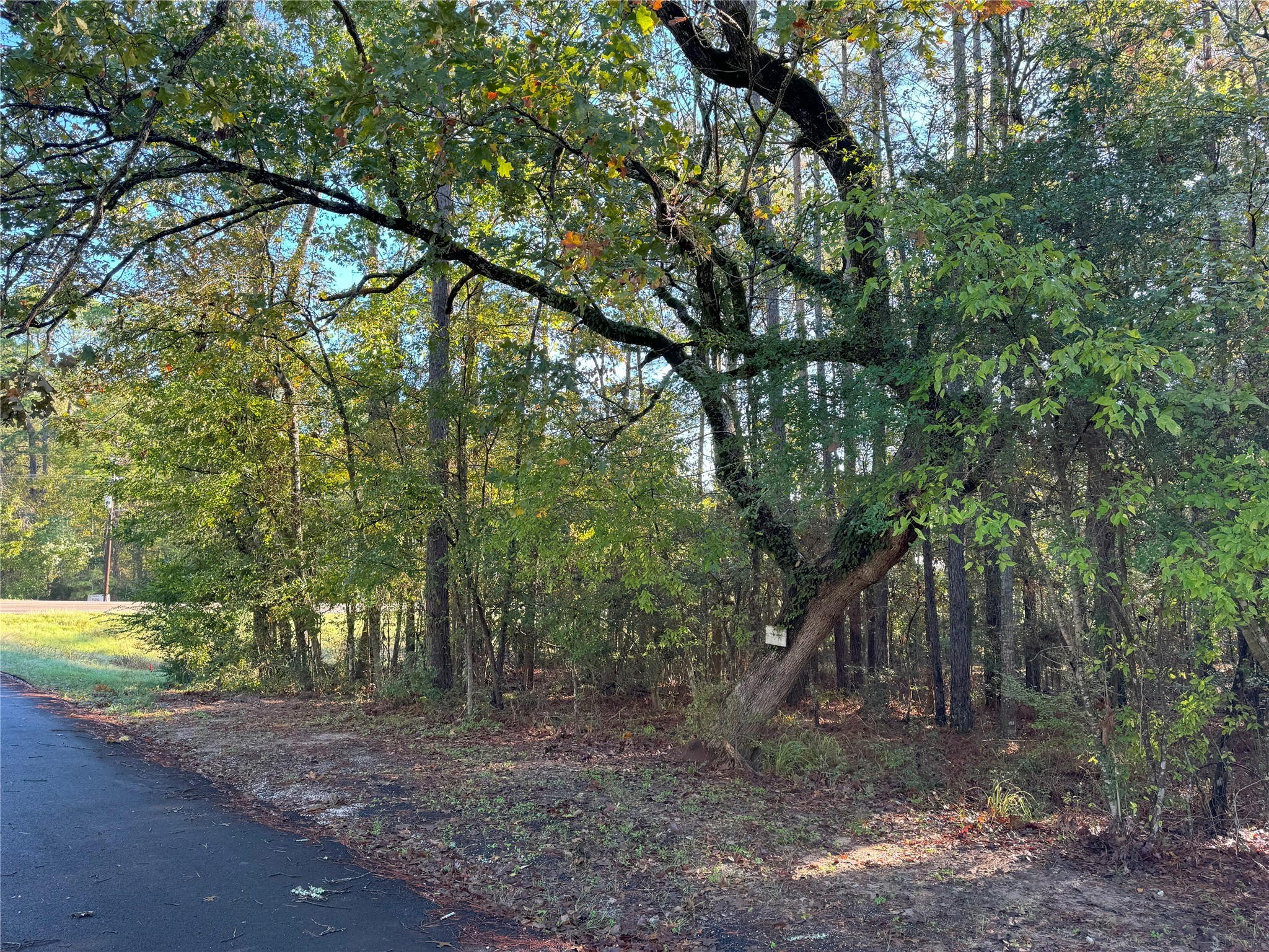 Tbd Everitt Lane Property Photo 1