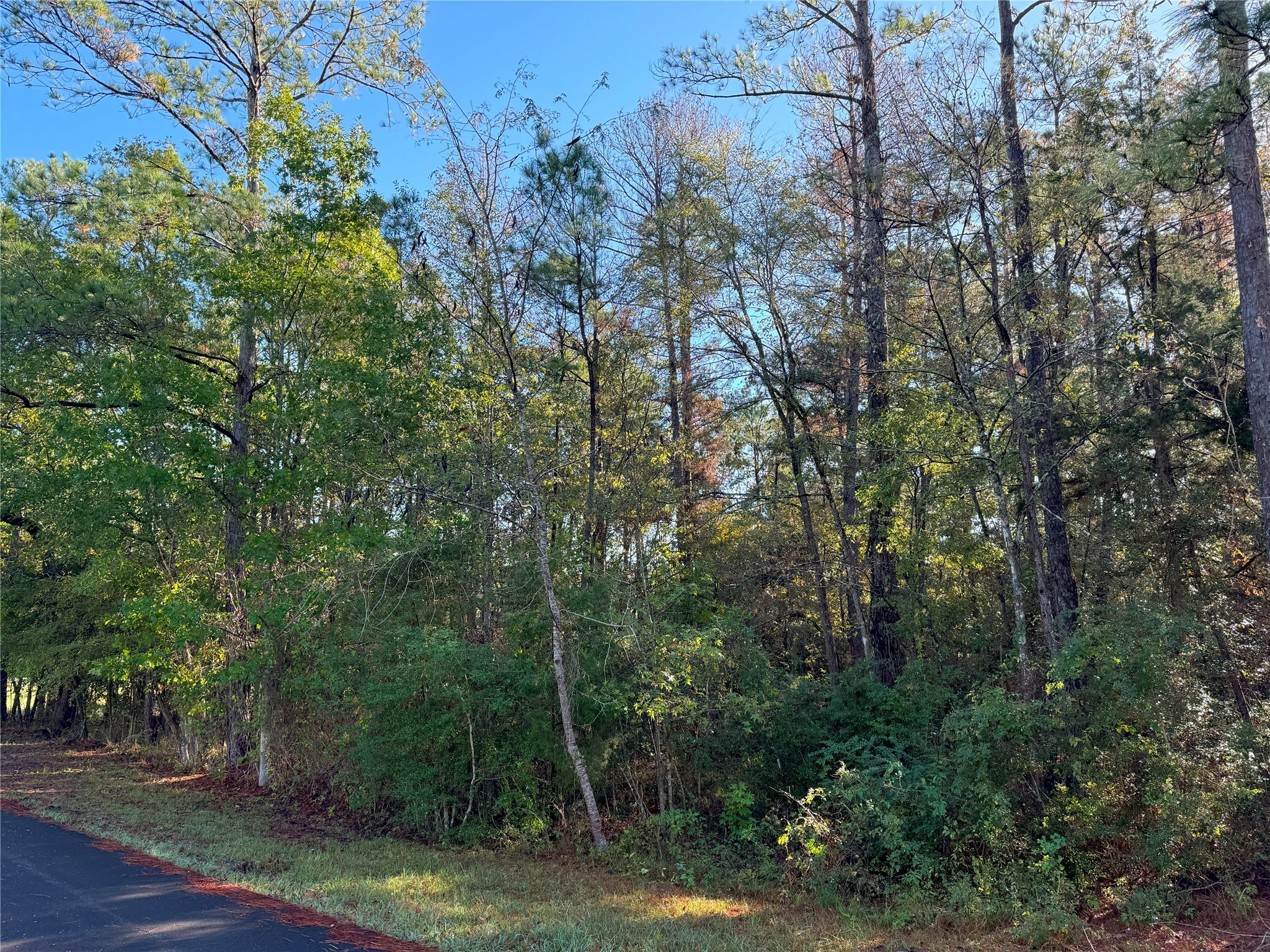 Tbd Everitt Lane Property Photo 3