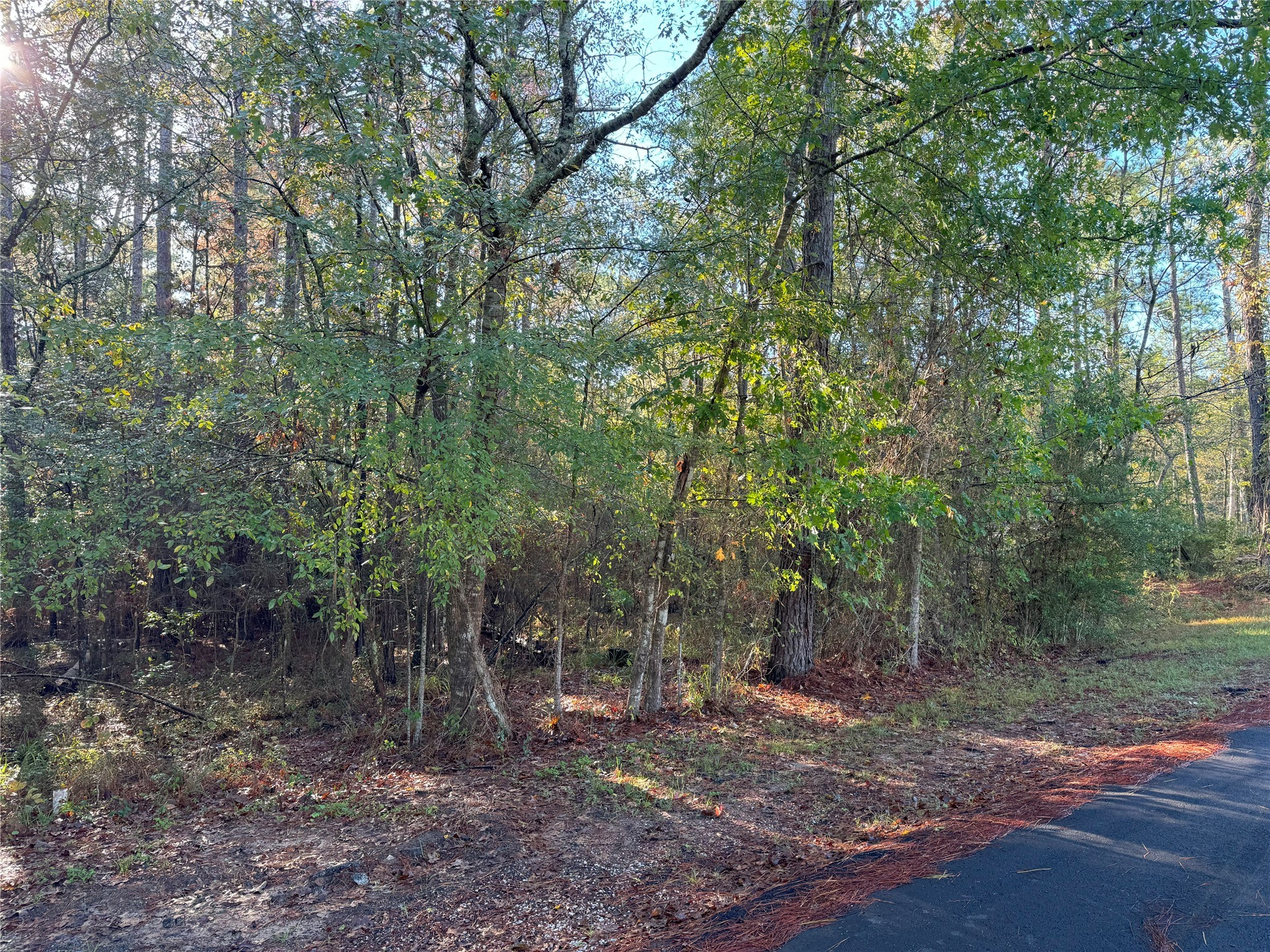 Tbd Everitt Lane Property Photo 7