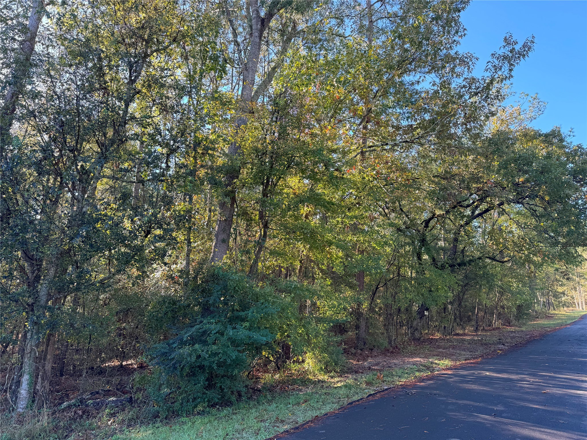Tbd Everitt Lane Property Photo 8