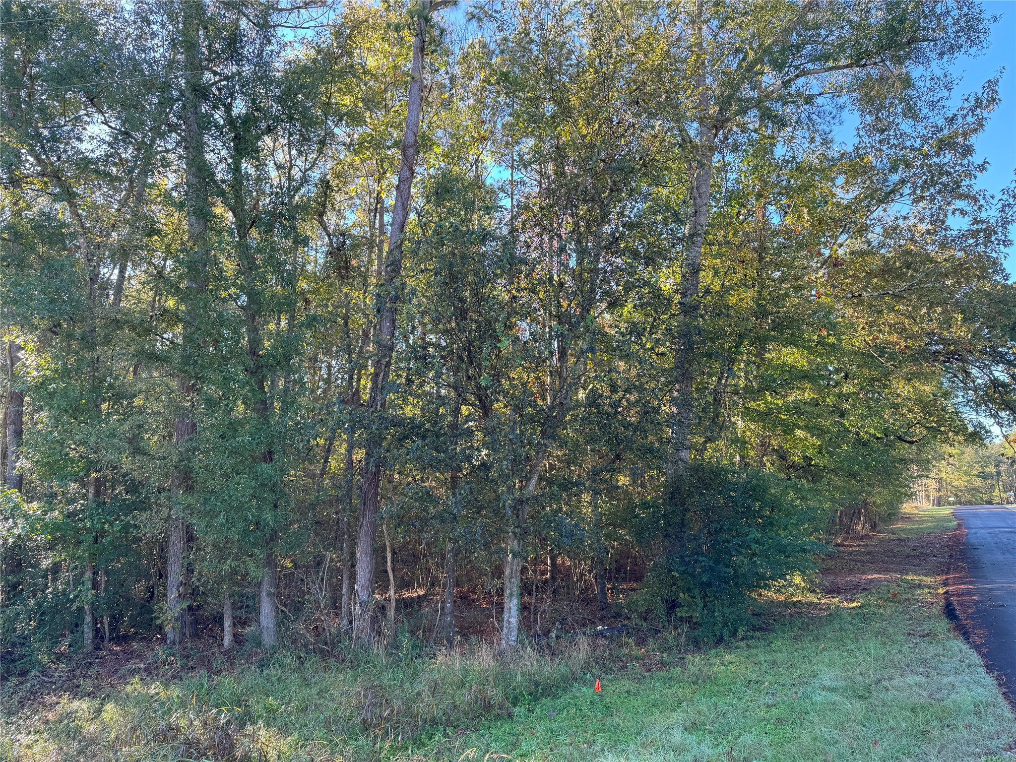 Tbd Everitt Lane Property Photo 10
