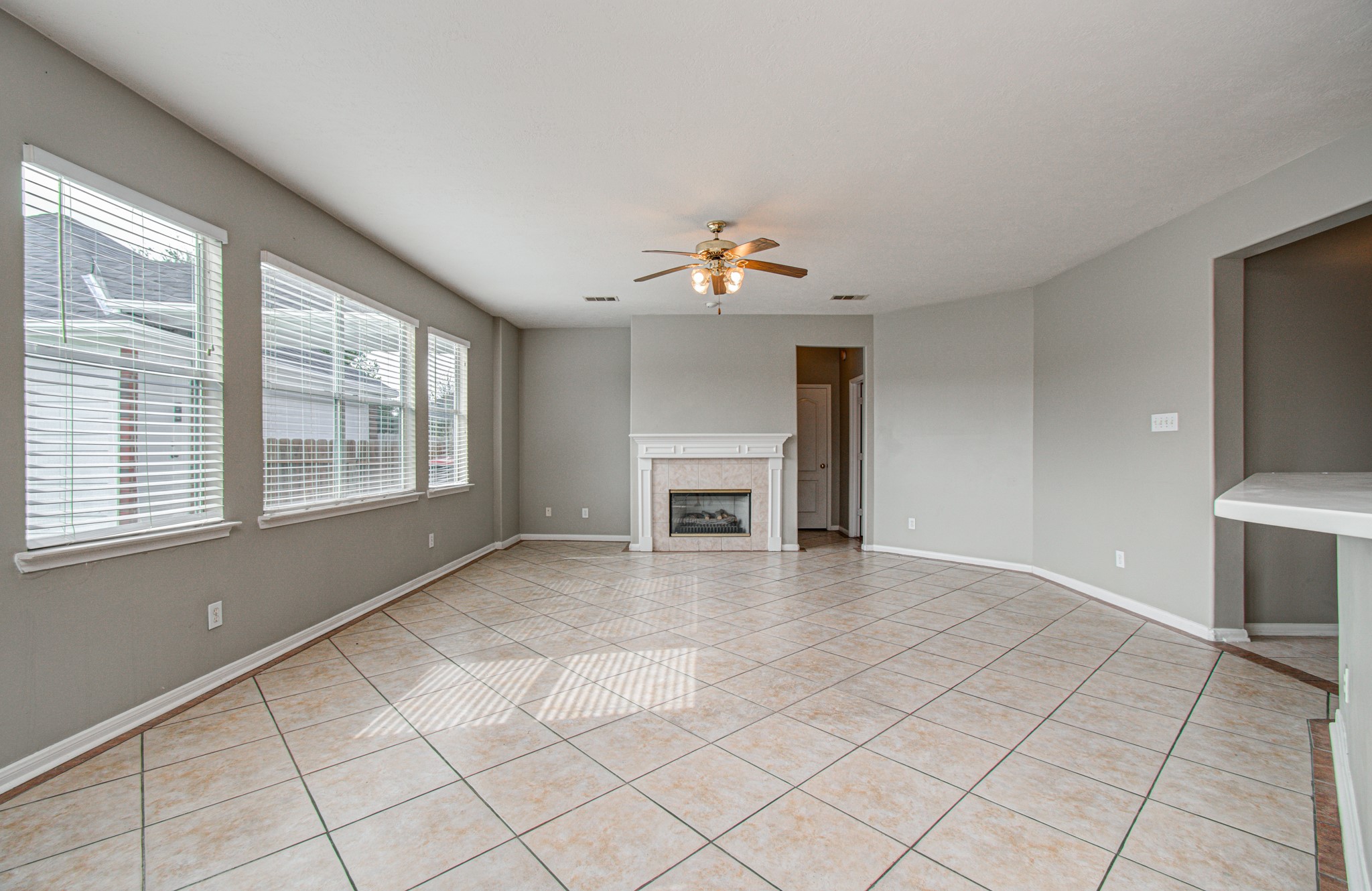 16639 Village View Trail Property Photo 10