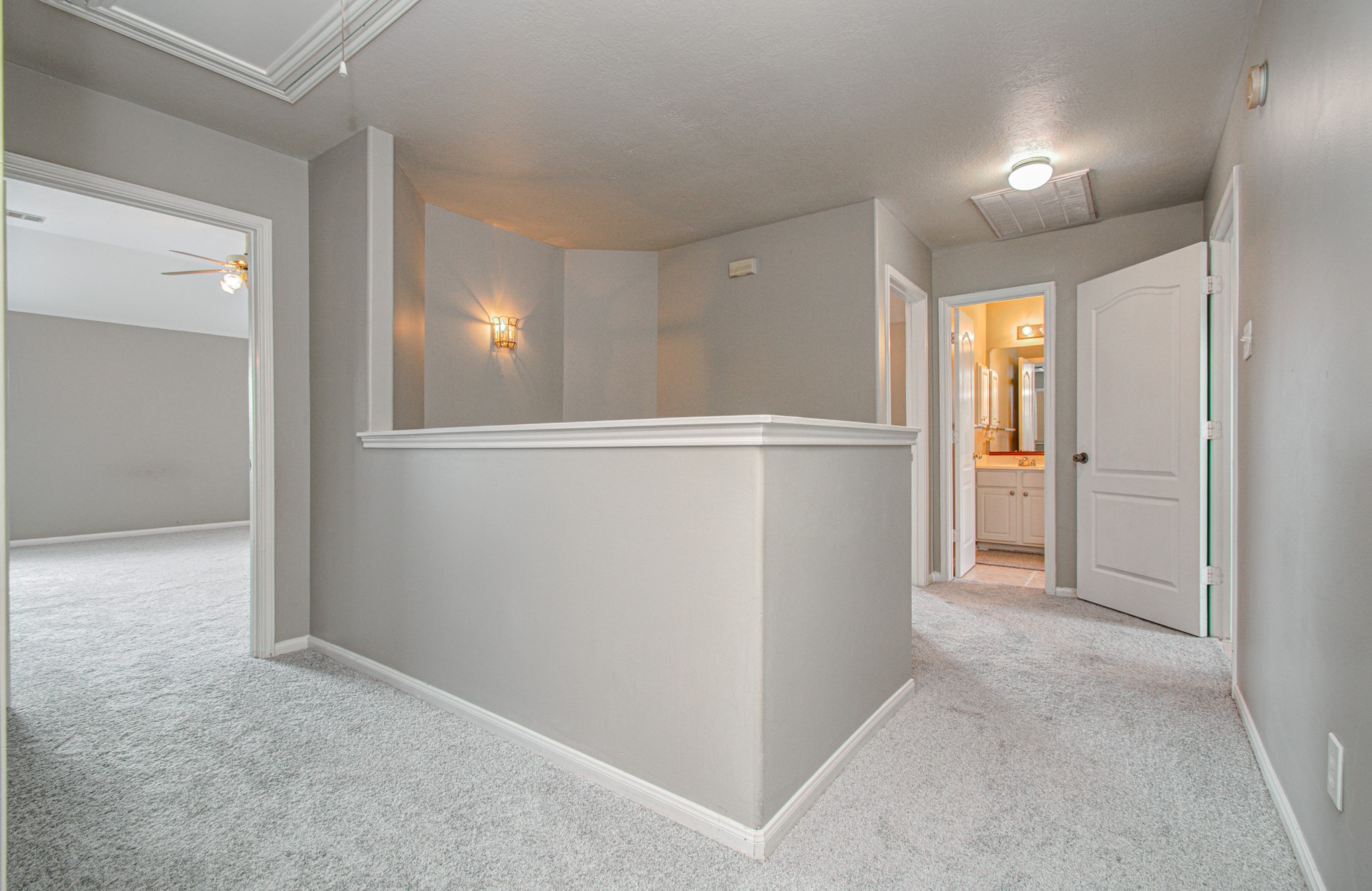 16639 Village View Trail Property Photo 25