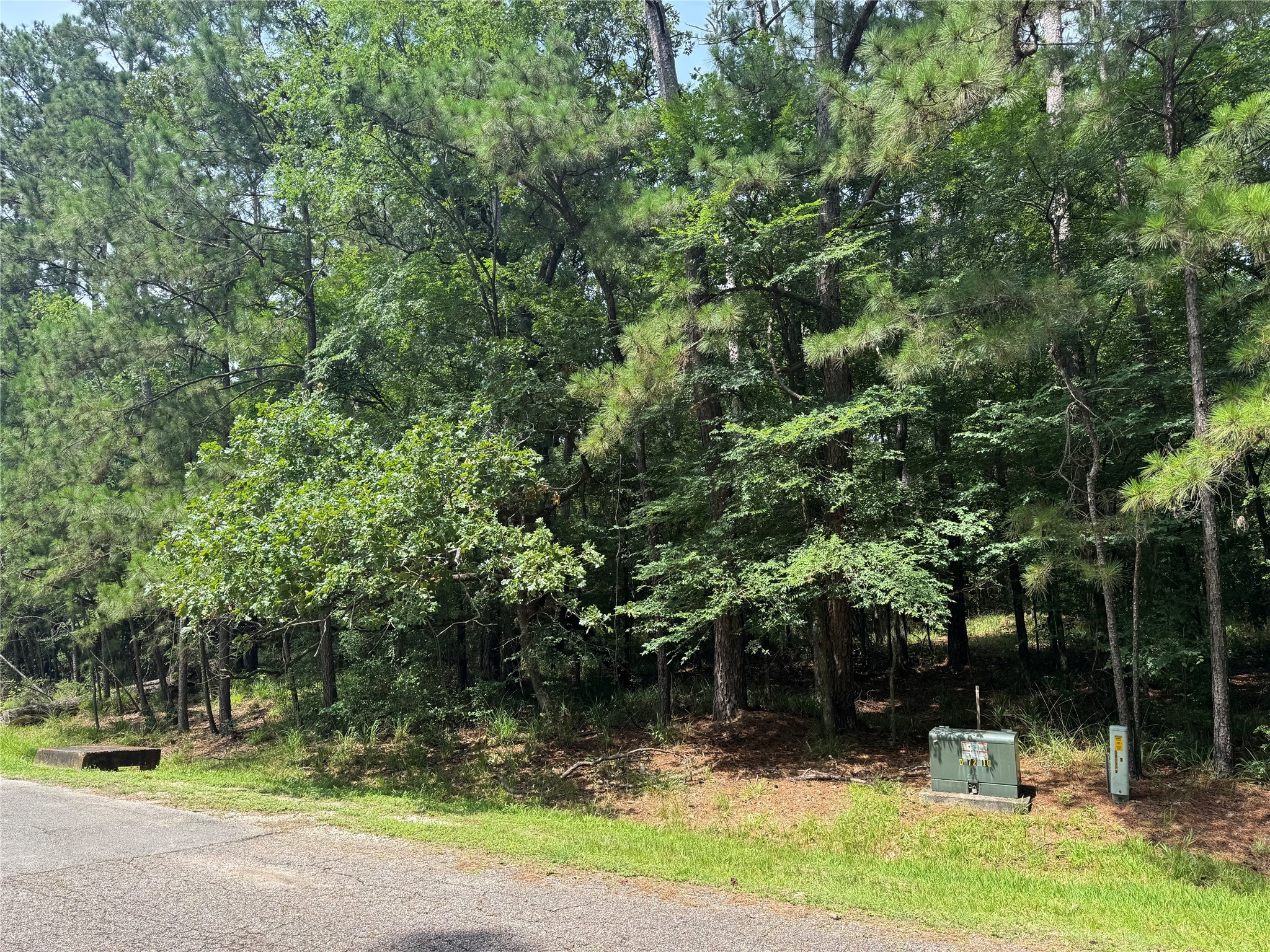 75 Green Tree Drive Property Photo 1