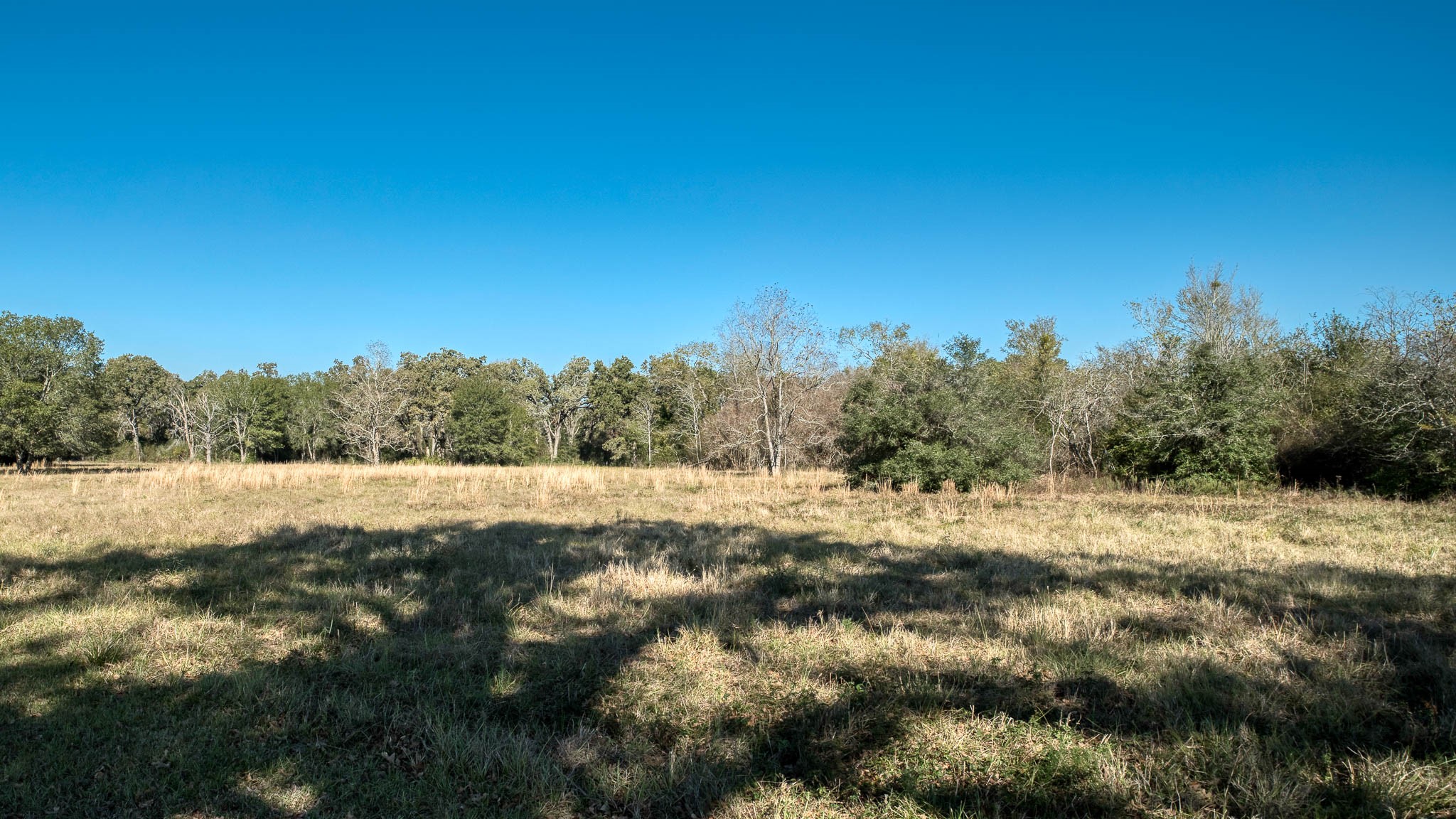 40934 Thomas Lane Property Photo 34