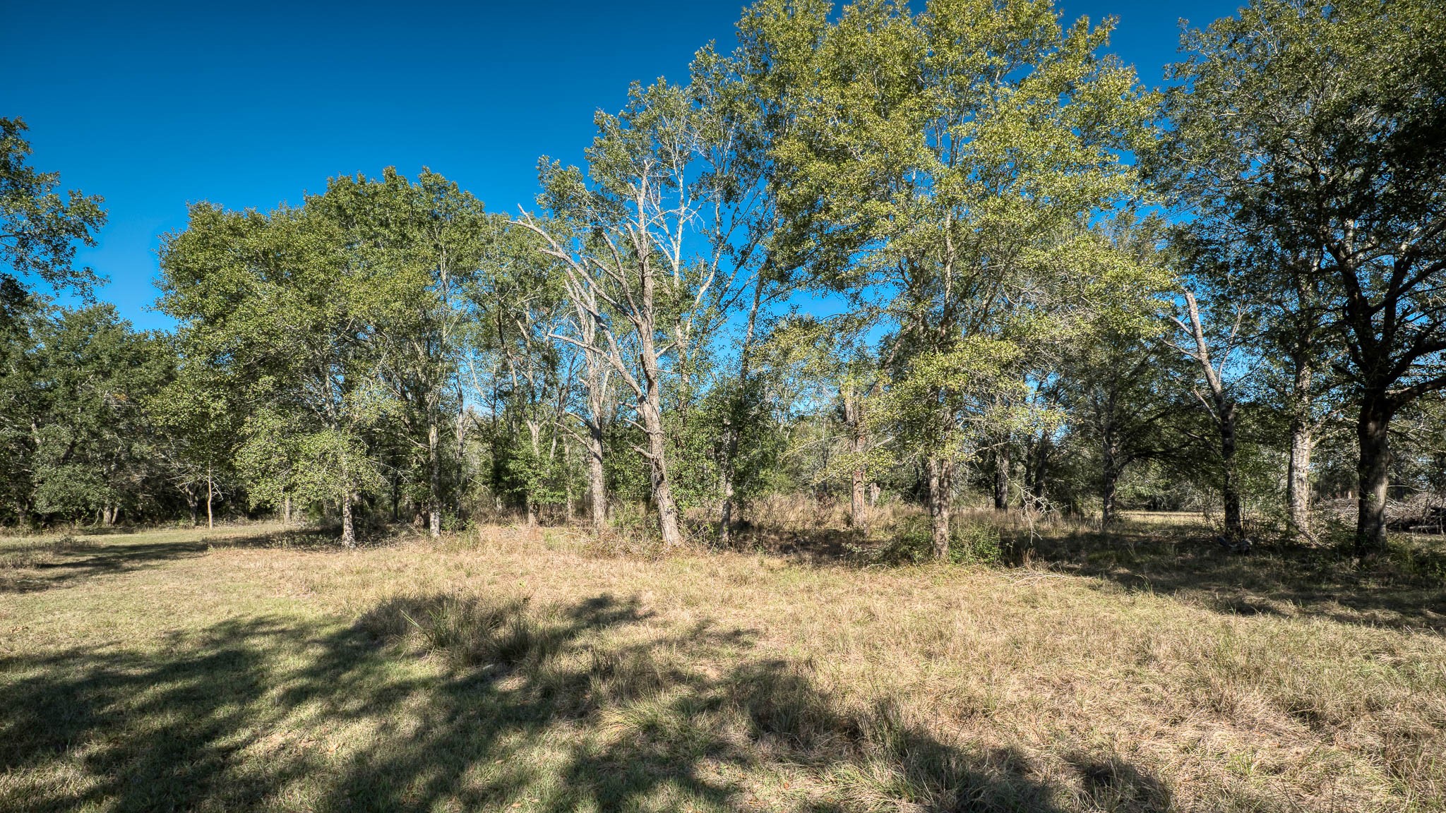 40934 Thomas Lane Property Photo 36