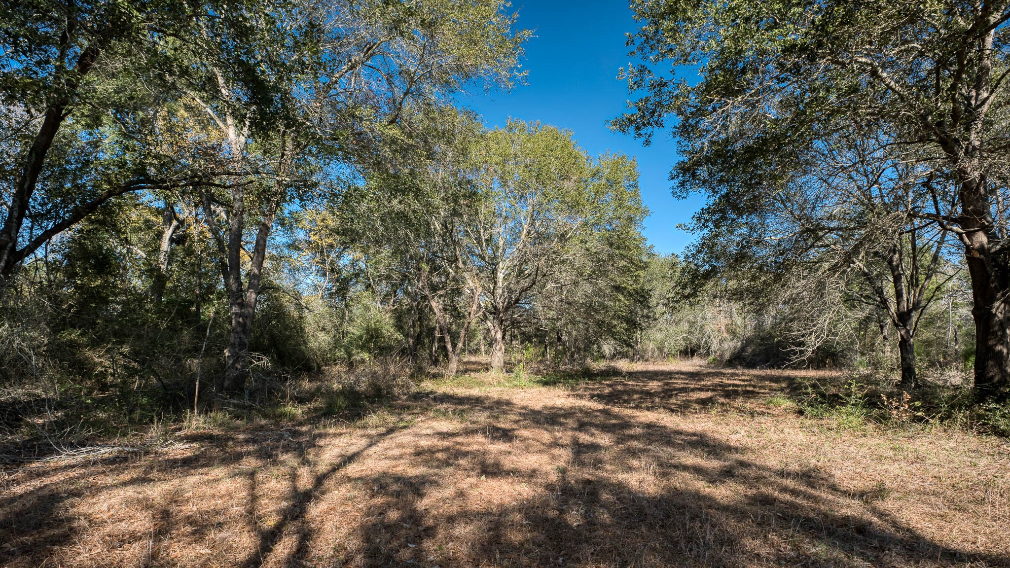 40934 Thomas Lane Property Photo 37