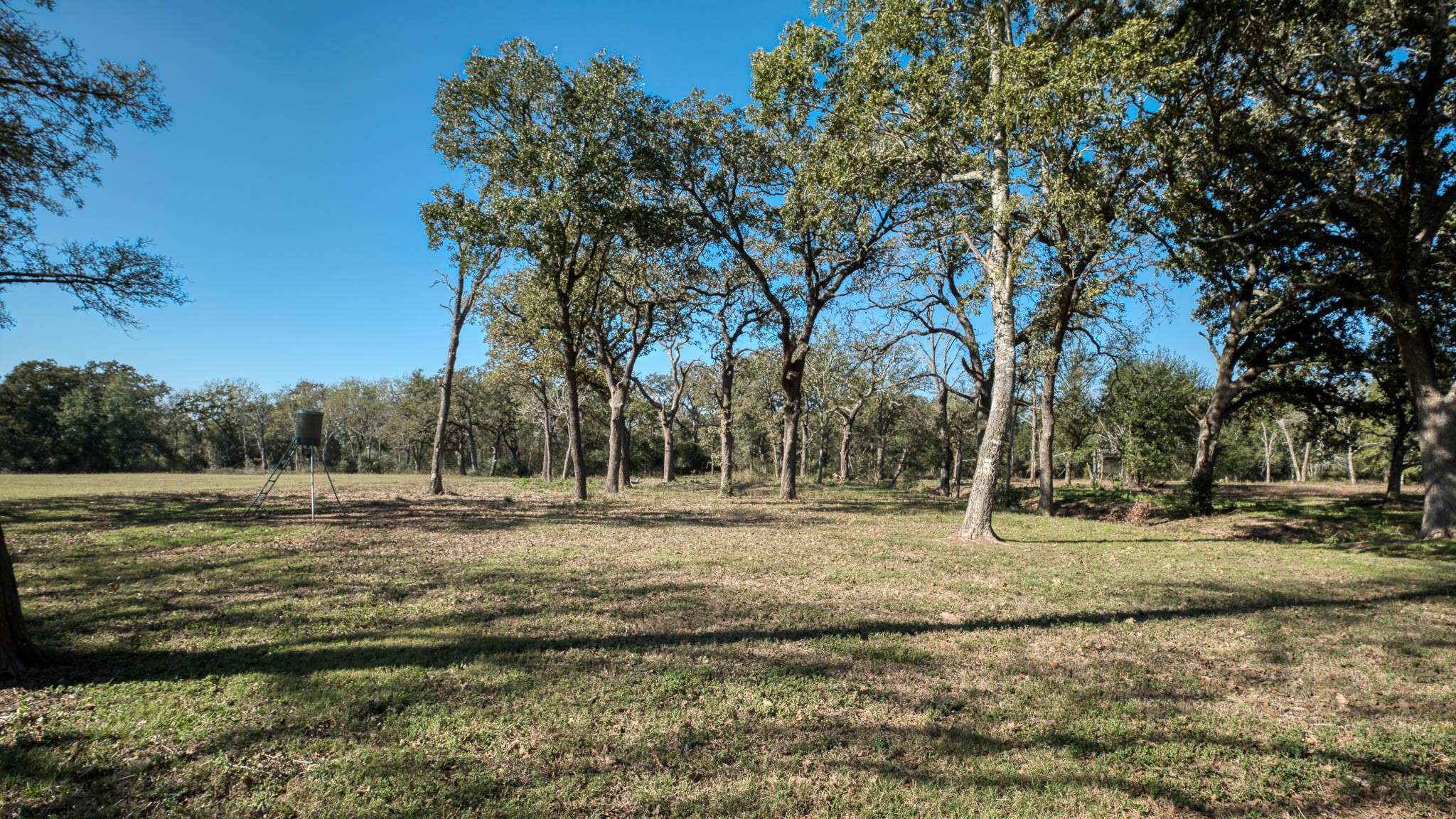 40934 Thomas Lane Property Photo 38