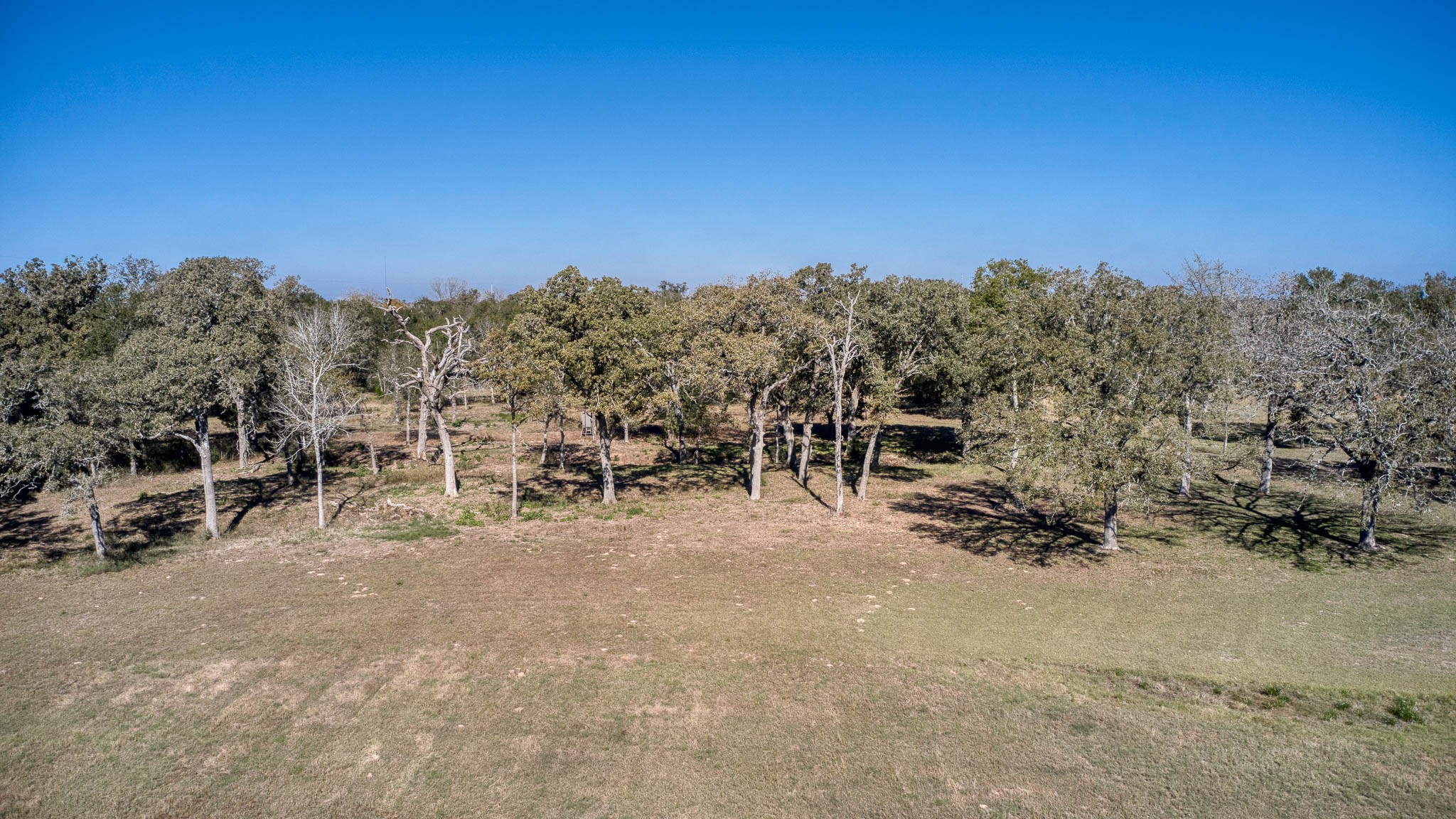 40934 Thomas Lane Property Photo 42