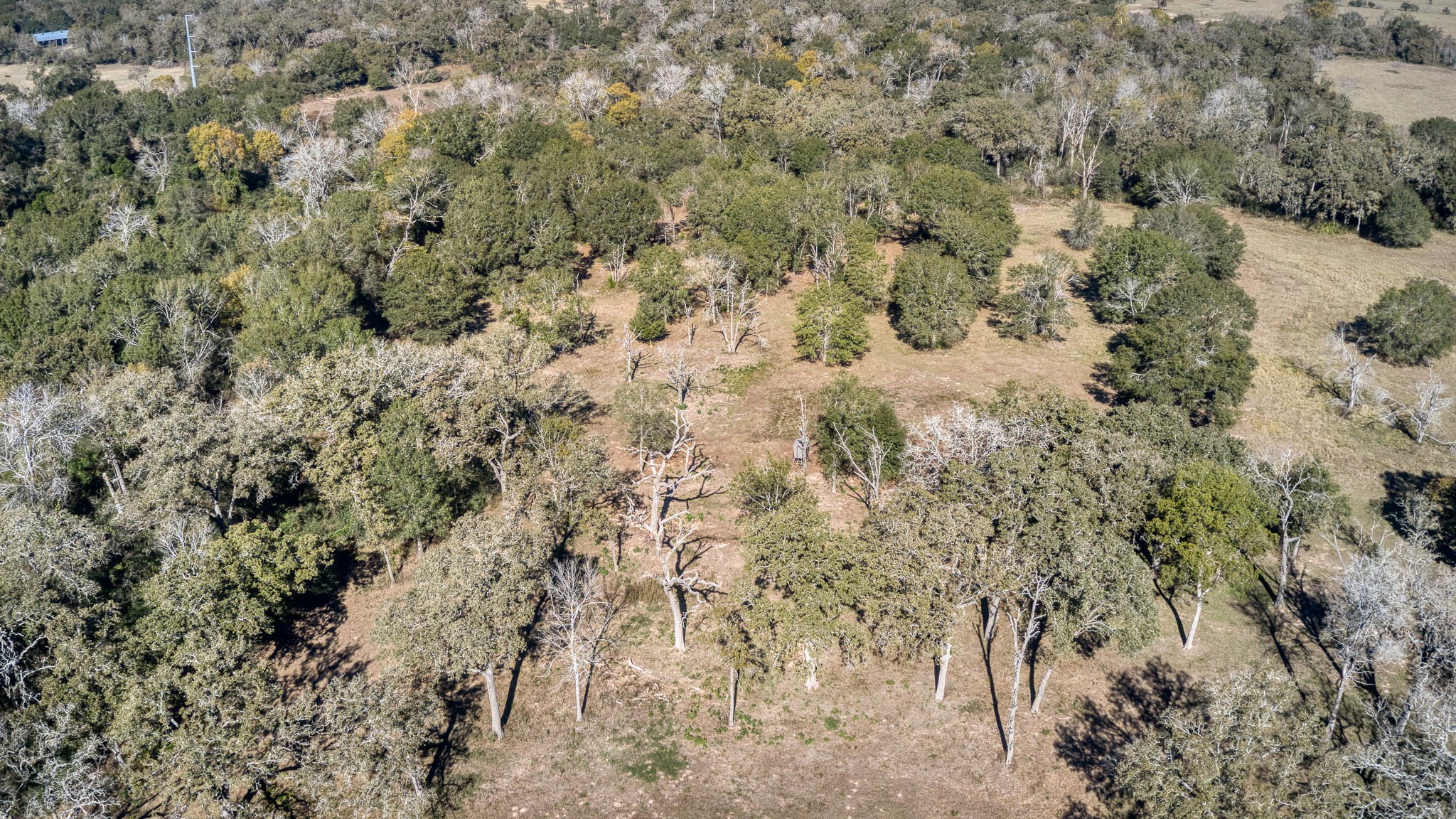40934 Thomas Lane Property Photo 43