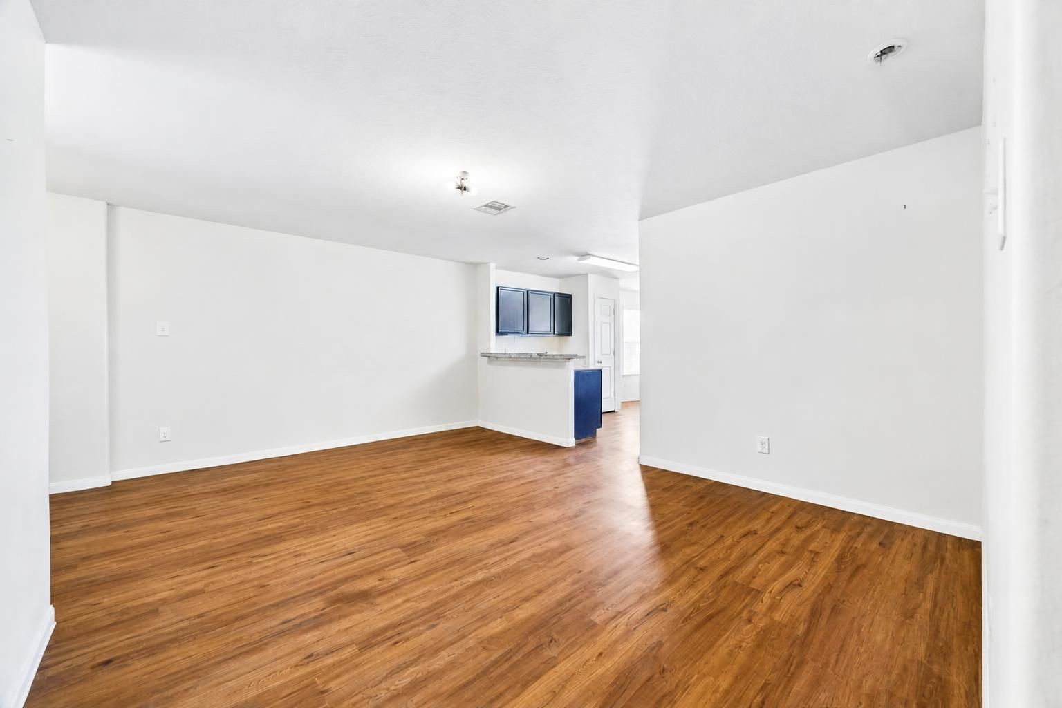 738 Horseshoe Springs Lane Property Photo 12