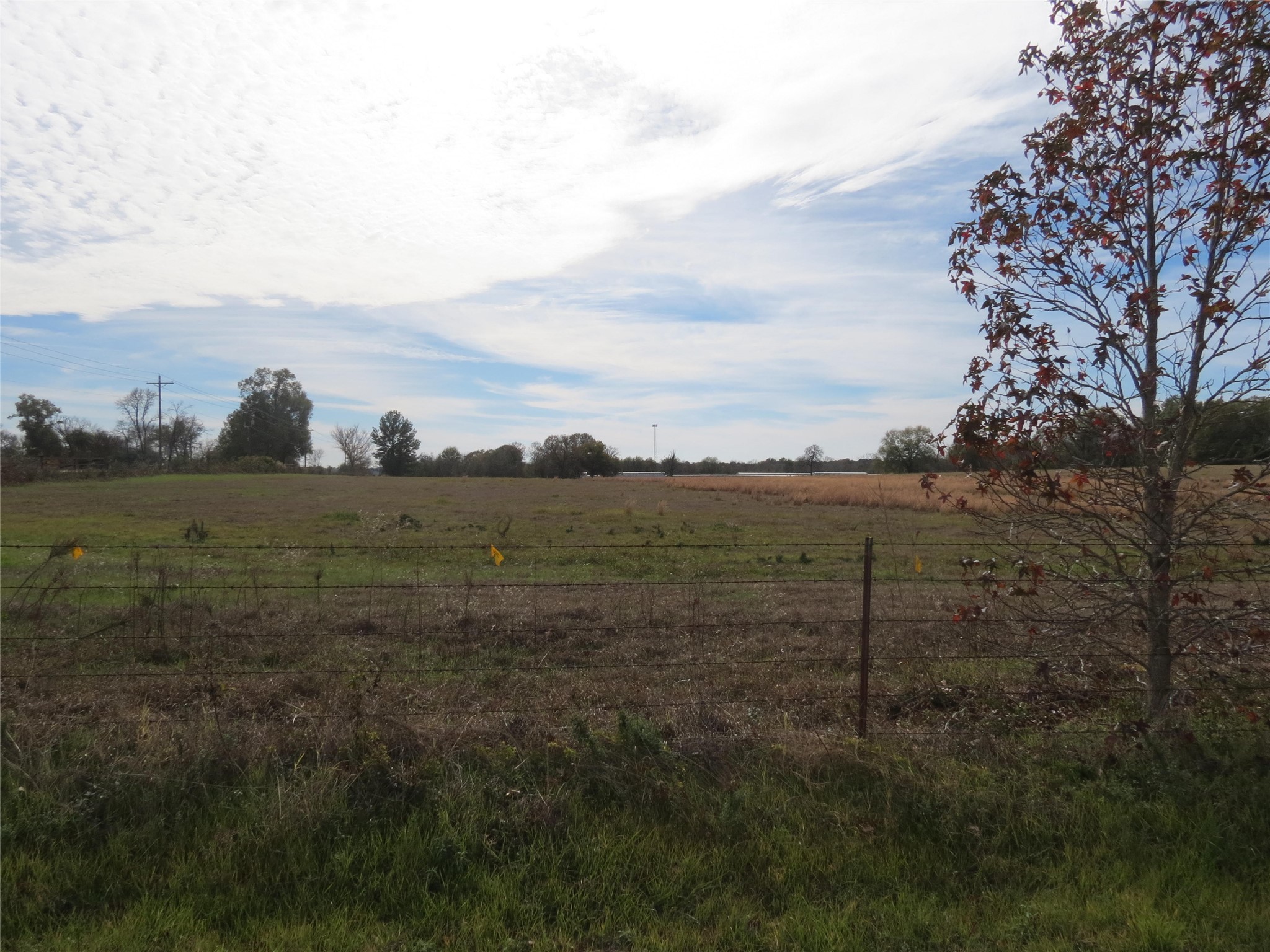 14010 Longstreet Road 22 Property Photo 6