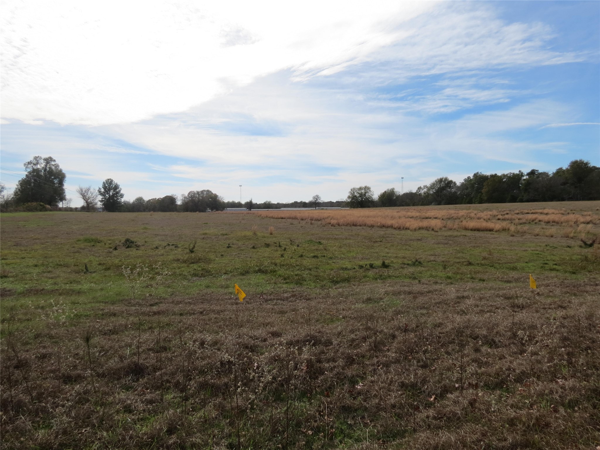 14010 Longstreet Road 22 Property Photo 8