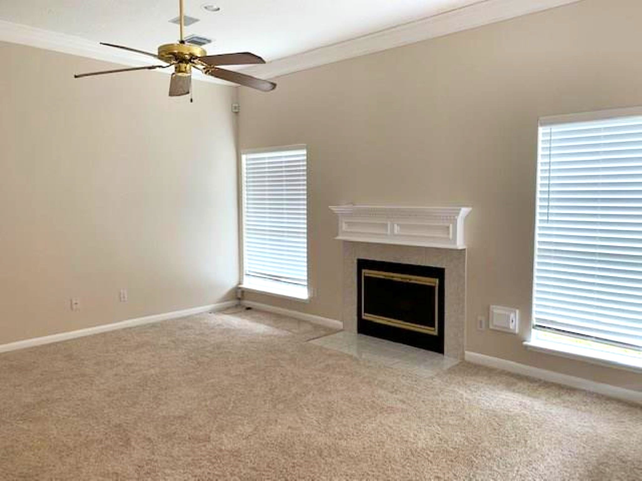 1710 Emerald Lake Court Property Photo 6