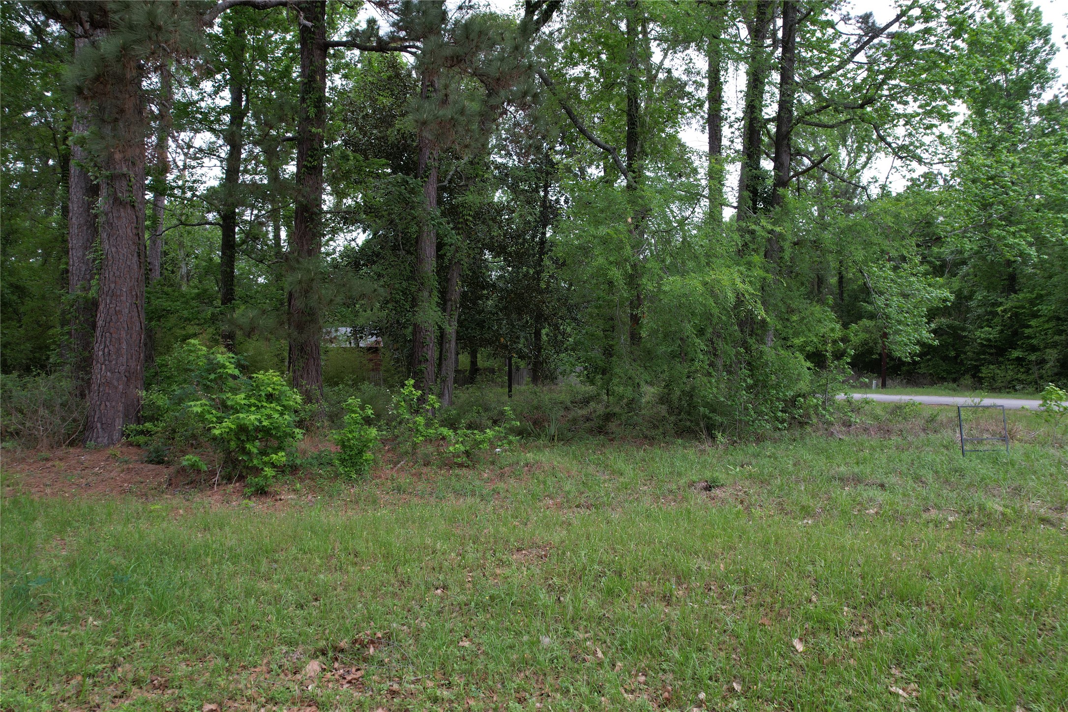 681 Plum Tree Property Photo 1
