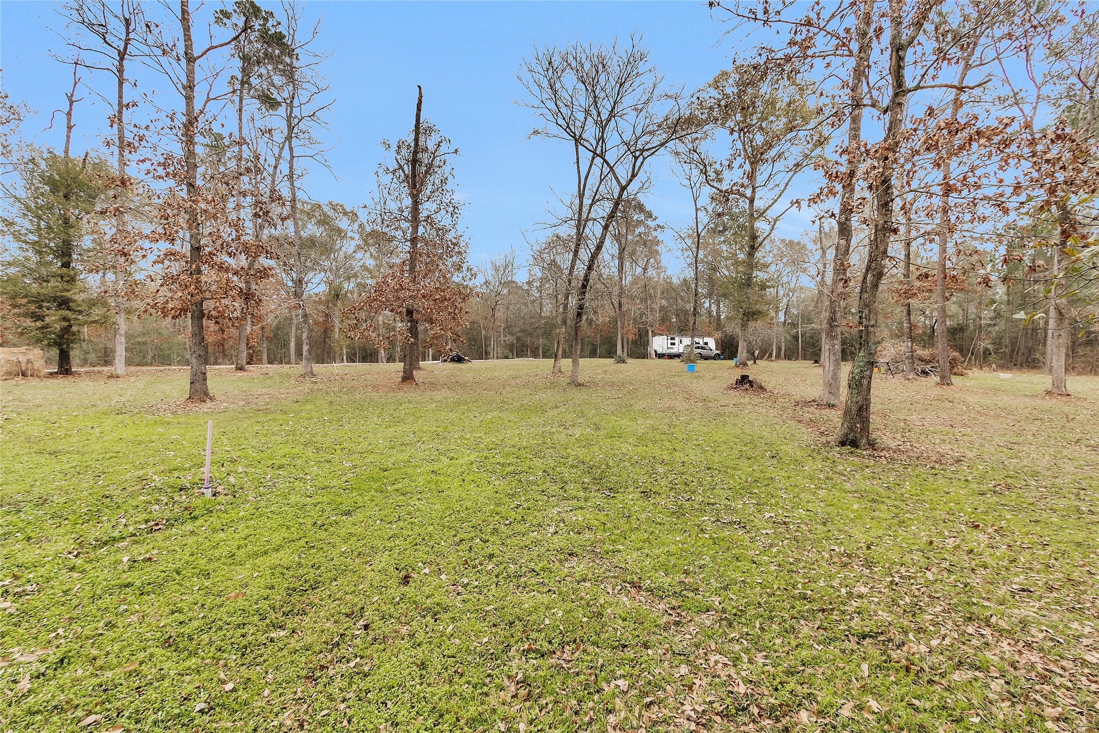 7261 Forest Hills Drive Property Photo 29