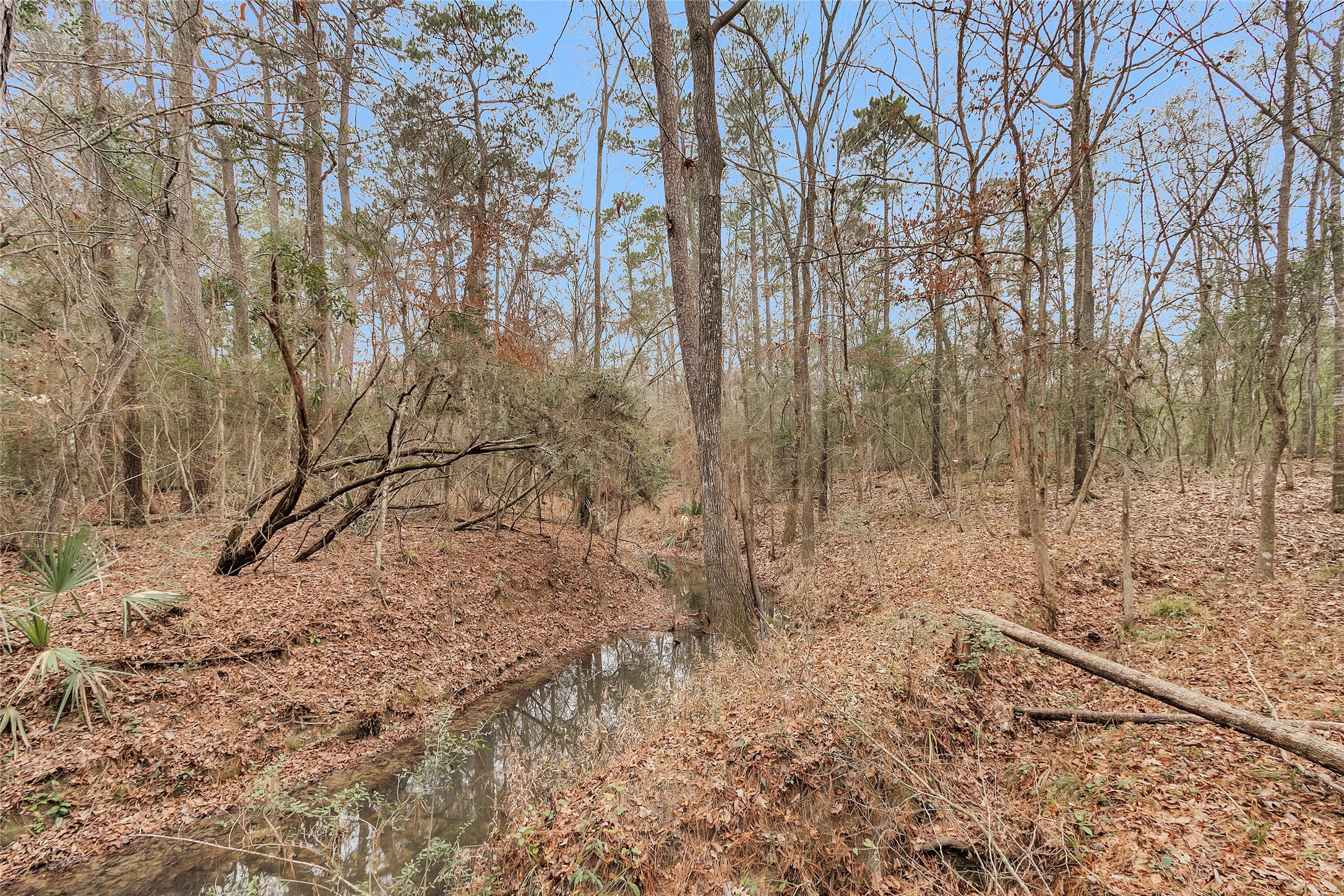 7261 Forest Hills Drive Property Photo 36