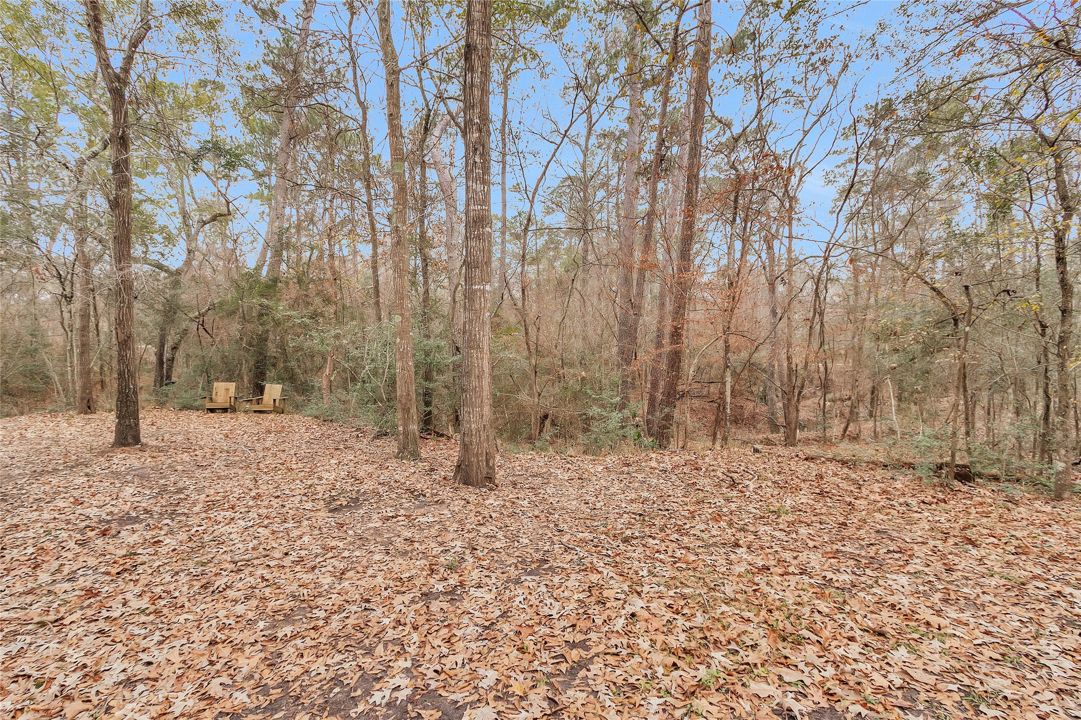 7261 Forest Hills Drive Property Photo 37