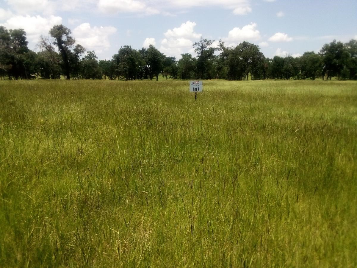 Tr 7 Tbd Pr 1311 Property Photo 1