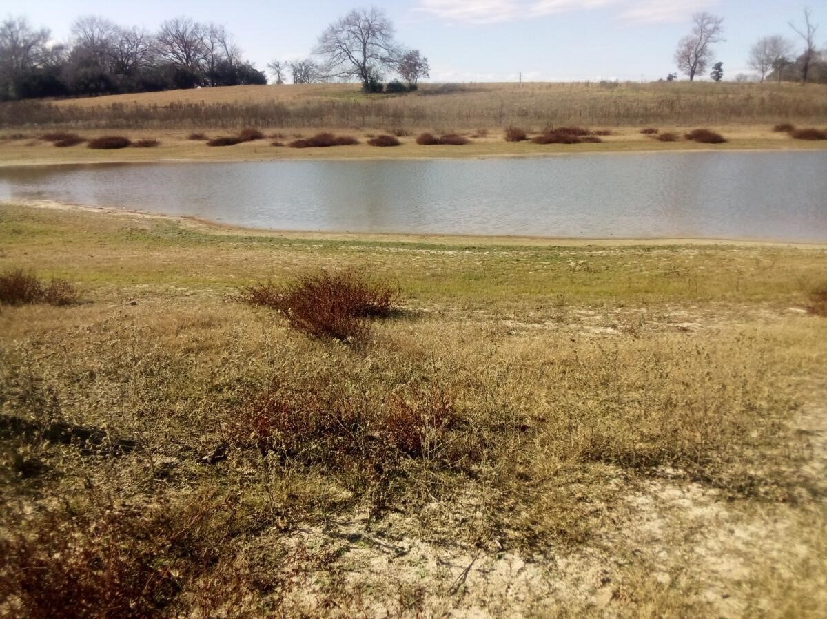 Tr 7 Tbd Pr 1311 Property Photo 4