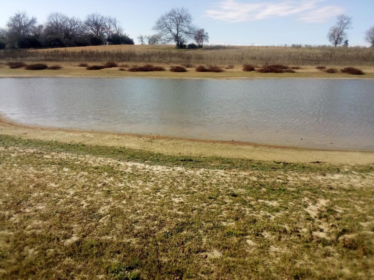 Tr 7 Tbd Pr 1311 Property Photo 5